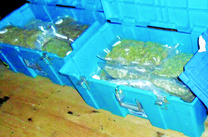 Marijuana products seized during the August raid of the Hyde Park warehouse.