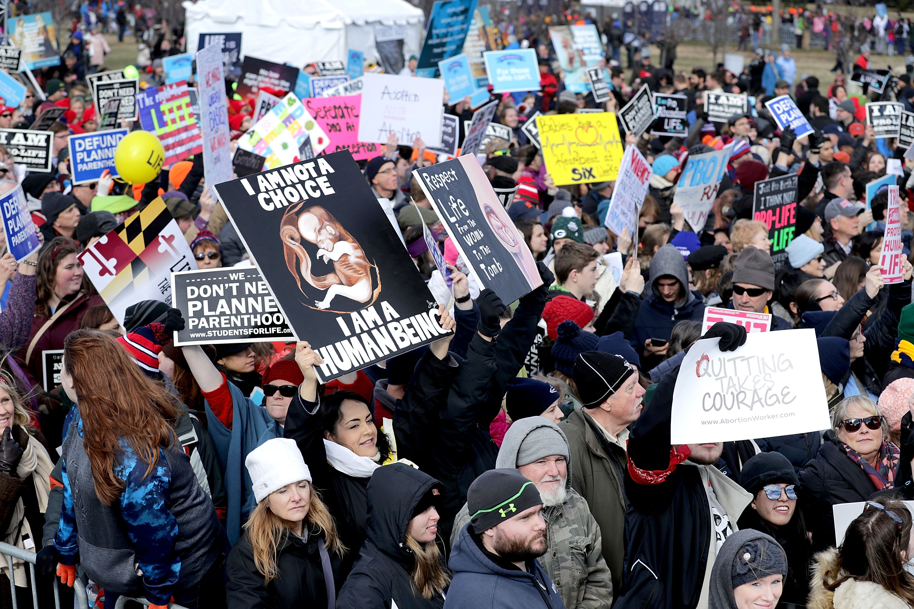 Participants in the March for Life rally on the National Mall in January 2017. The annual event protests the Roe v. Wade decision.