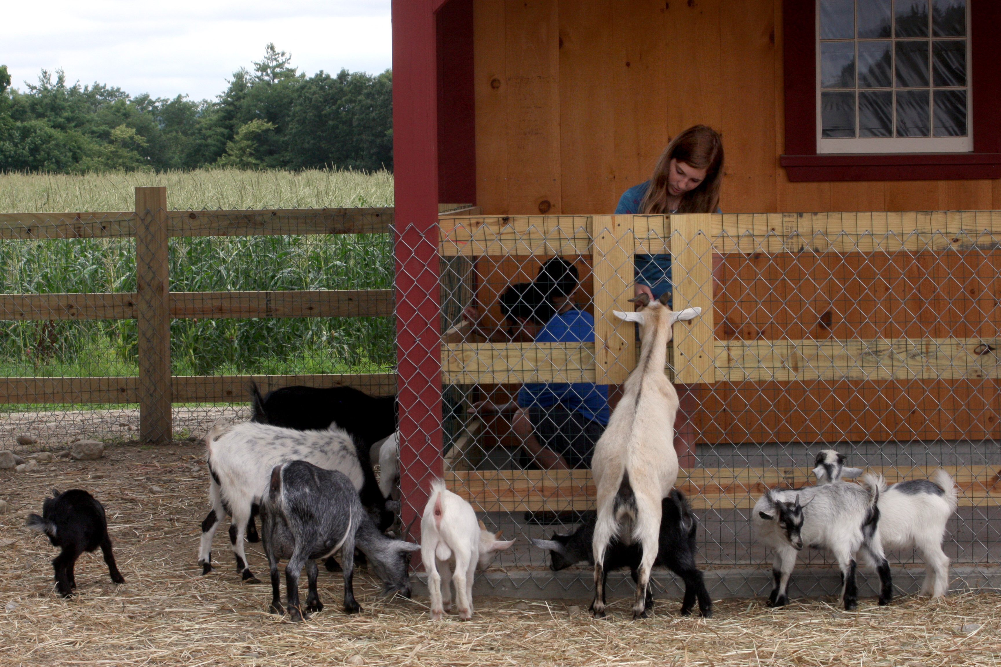 Parlee Farm in Tyngsborough.