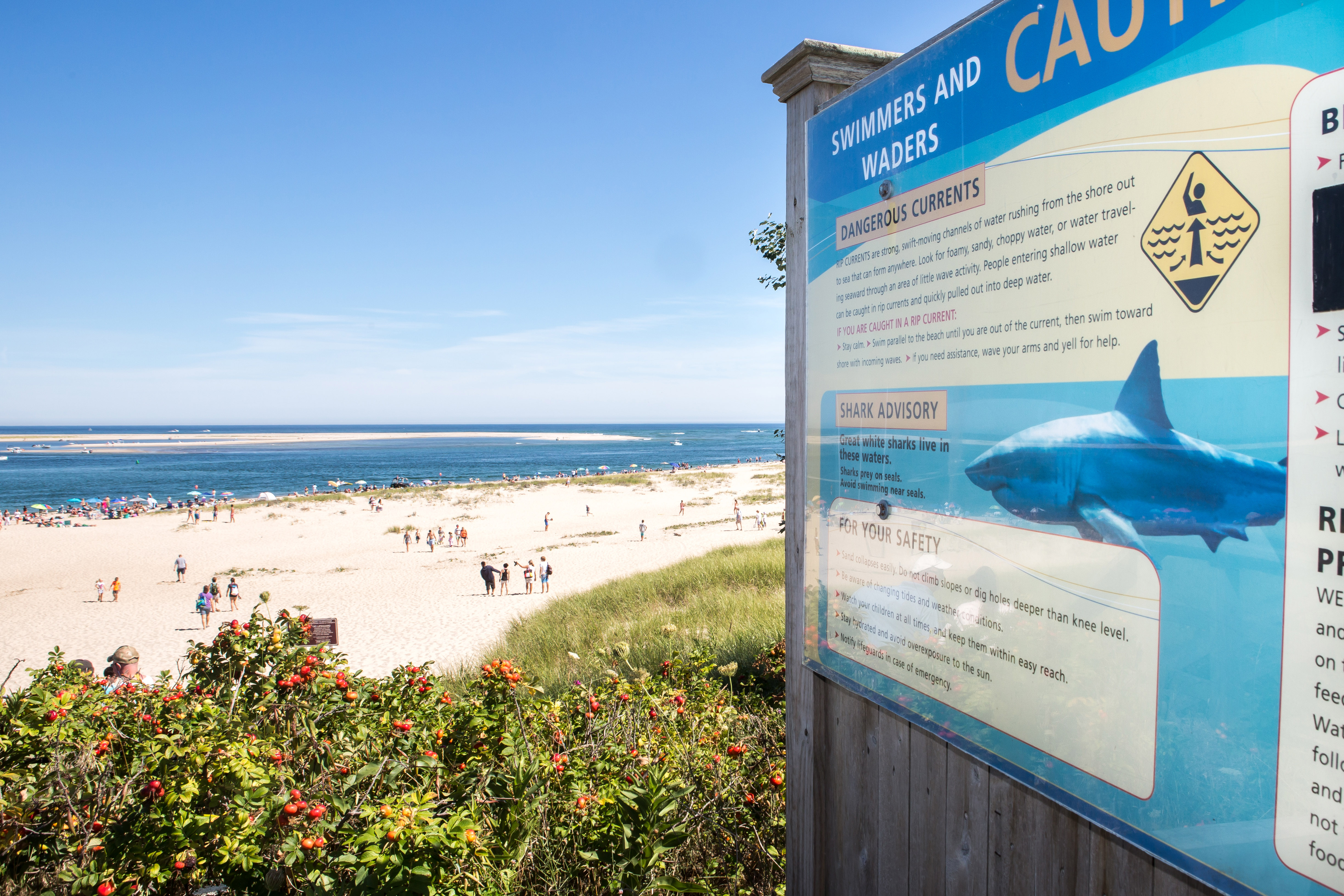A sign warned beachgoers of the presence of great white sharks at Lighthouse Beach in Chatham.