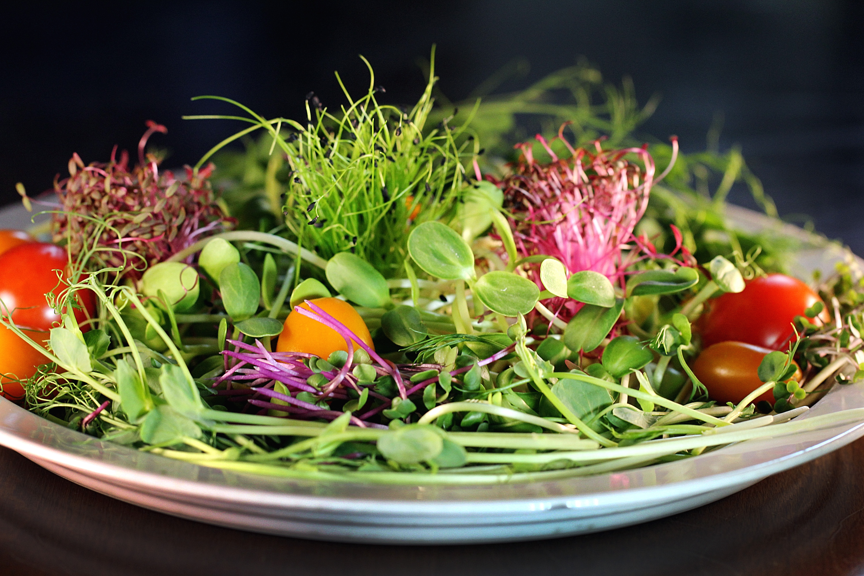 A salad made from their crops includes red garnet amaranth, pea shoots, chives, sunflower shoots, Hong vit radishes, and kale.