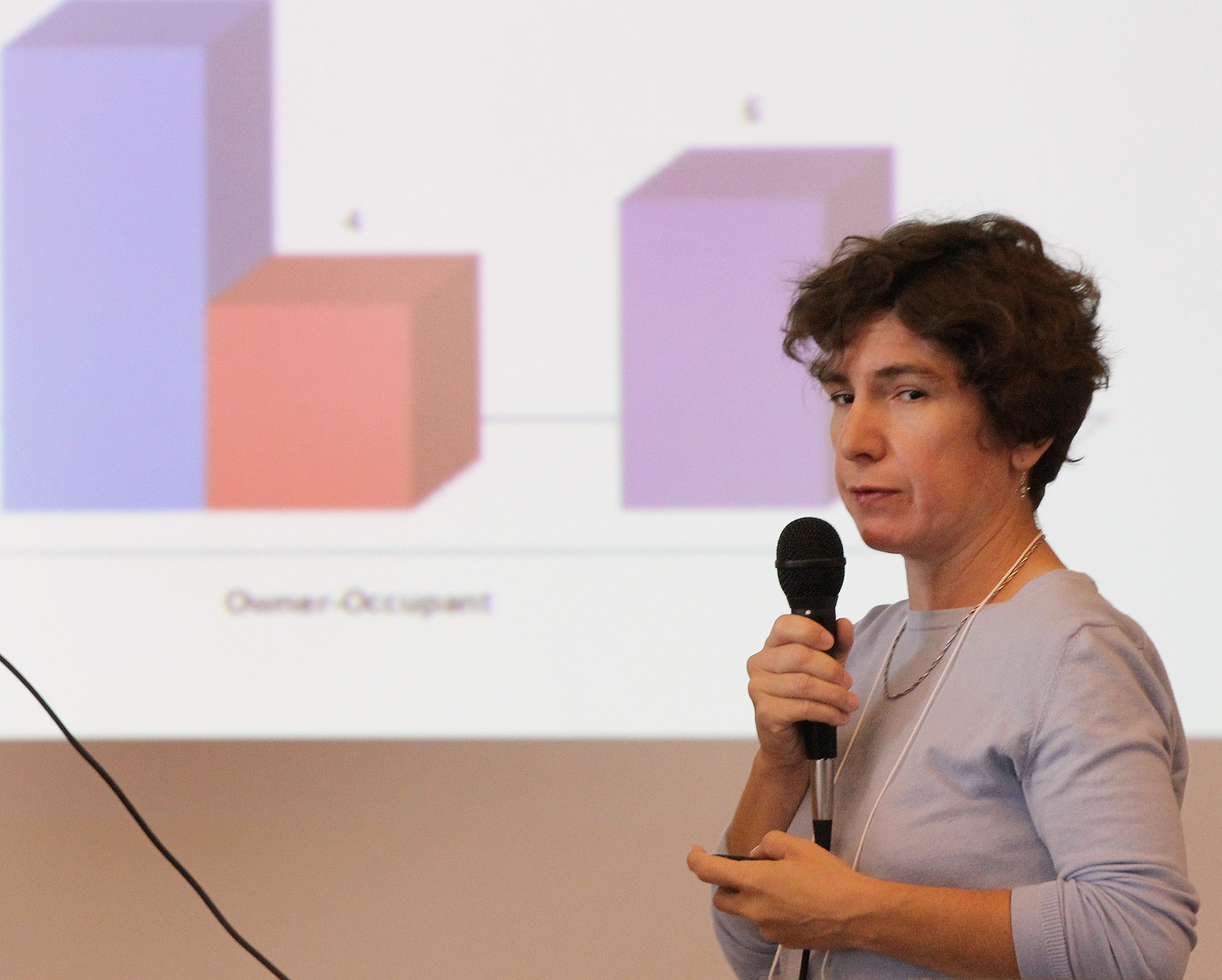 Valerie Frias of the Allston Brighton Community Development Corporation addressed the forum.