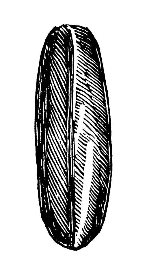A Polish baker reportedly places loaves in his window in patterns that were meaningful to spies.