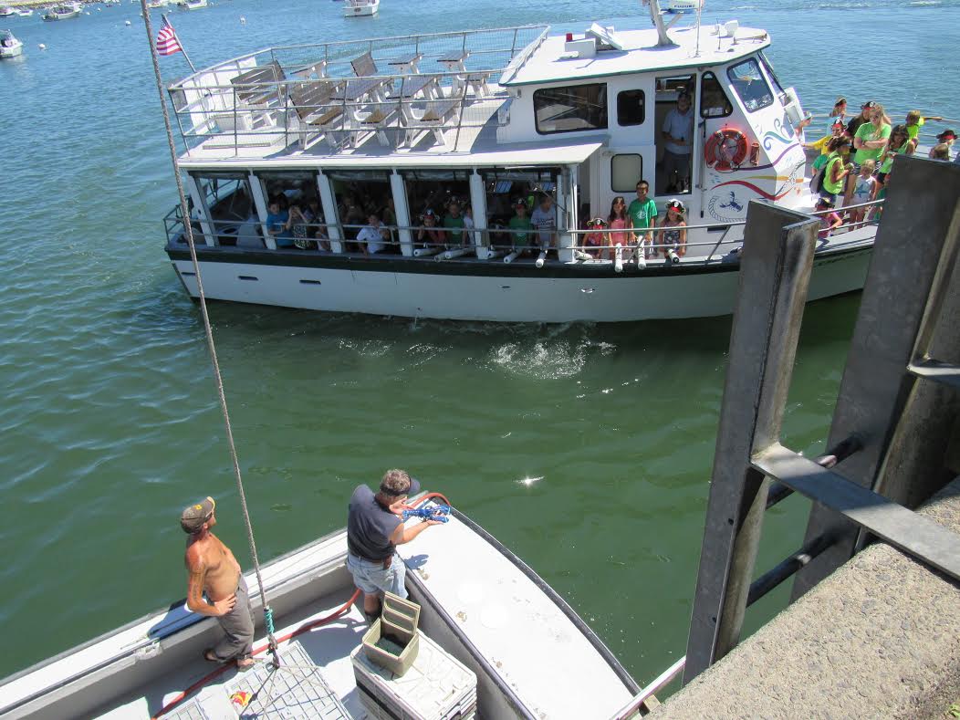 Wayne Nickerson showed off Bleu to a children’s tour boat called Lobster Tales. “The children cheered like crazy. That was the best part for me. It was so cute,” said Jan Nickerson.