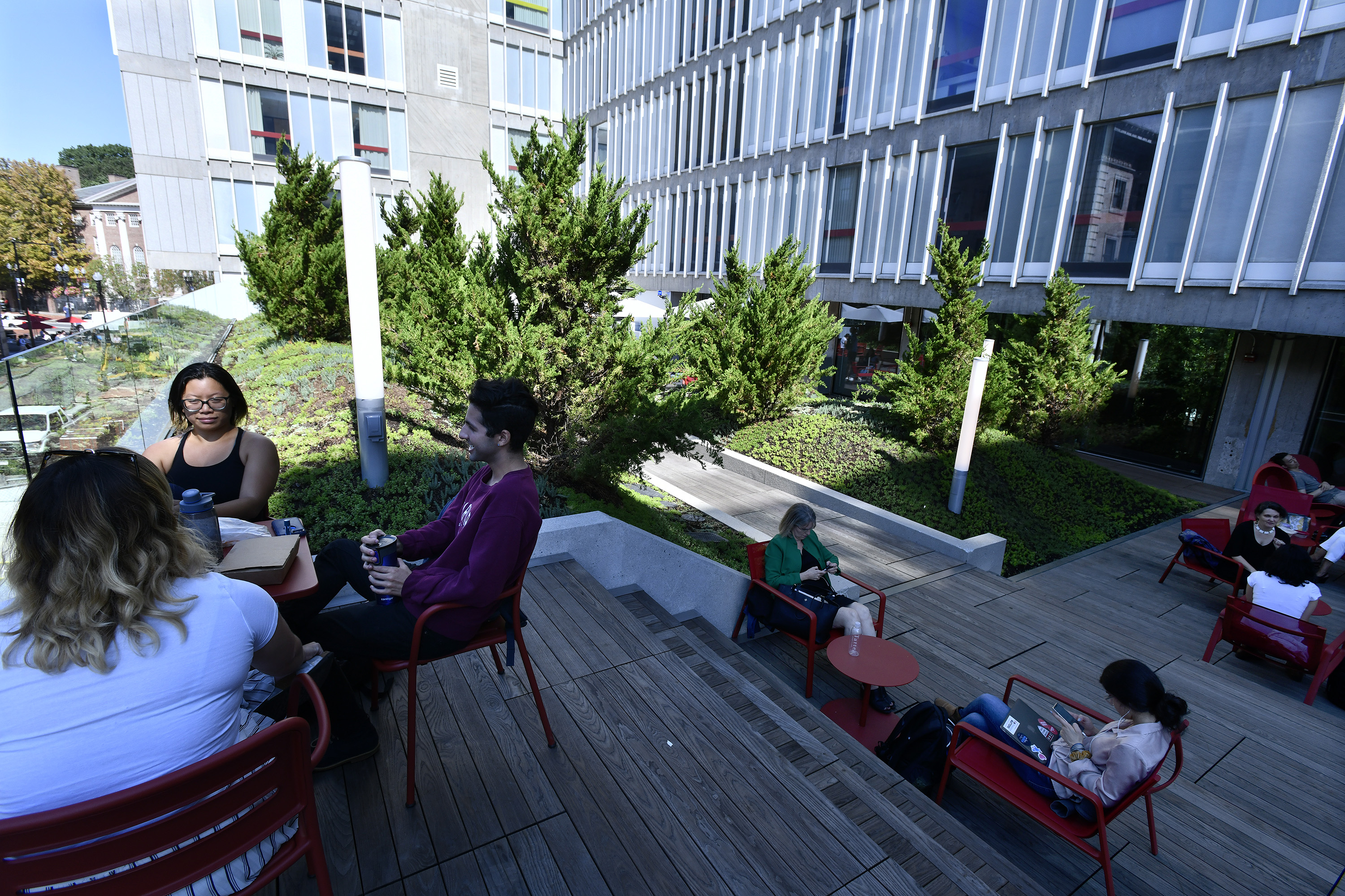 A rooftop garden fills a second floor balcony overlooking Dunster Street.