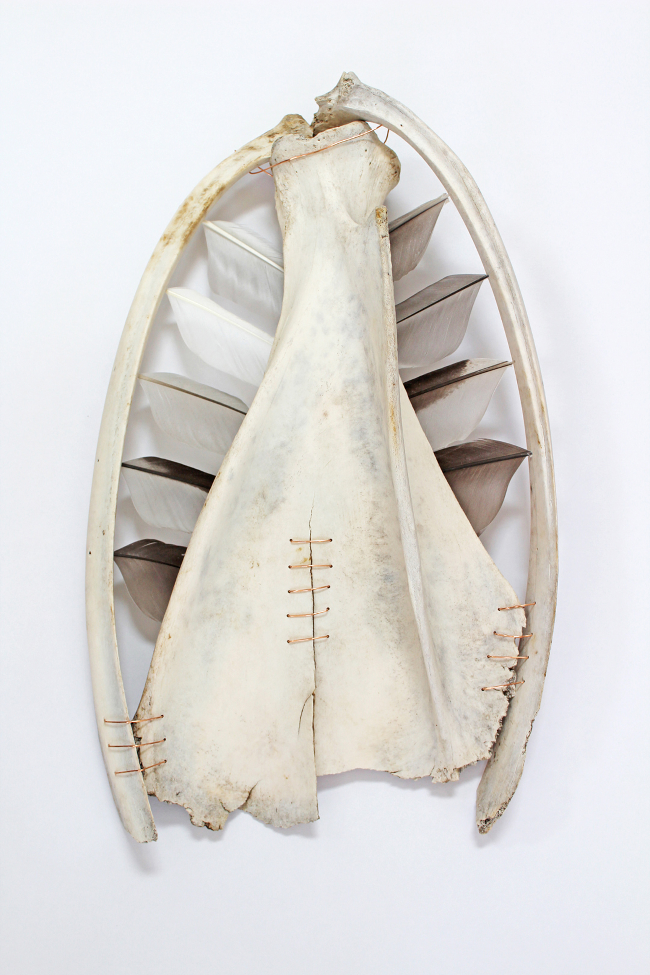 Opie's sculptures incorporate other found materials, including feathers.
