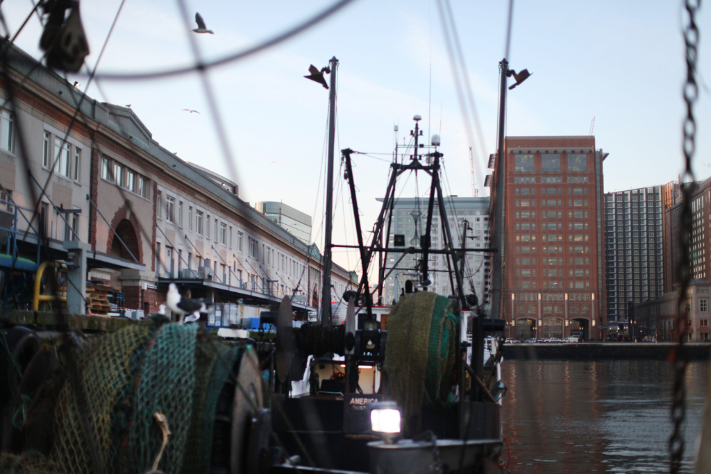 The Seaport towered over boats at the Fish Pier.