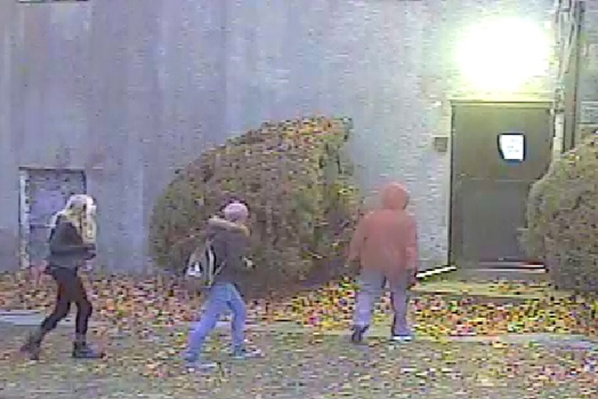 No arrests have been made, but police are searching for three young people who were filmed on the property.