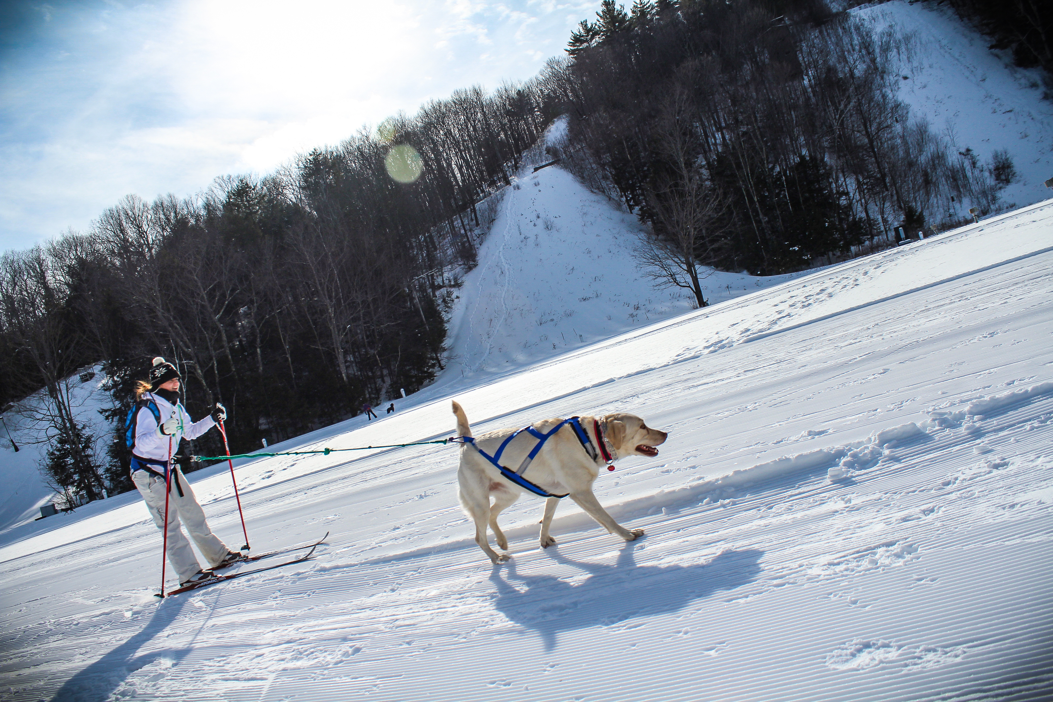 Skijoring at Gunstock Mountain.