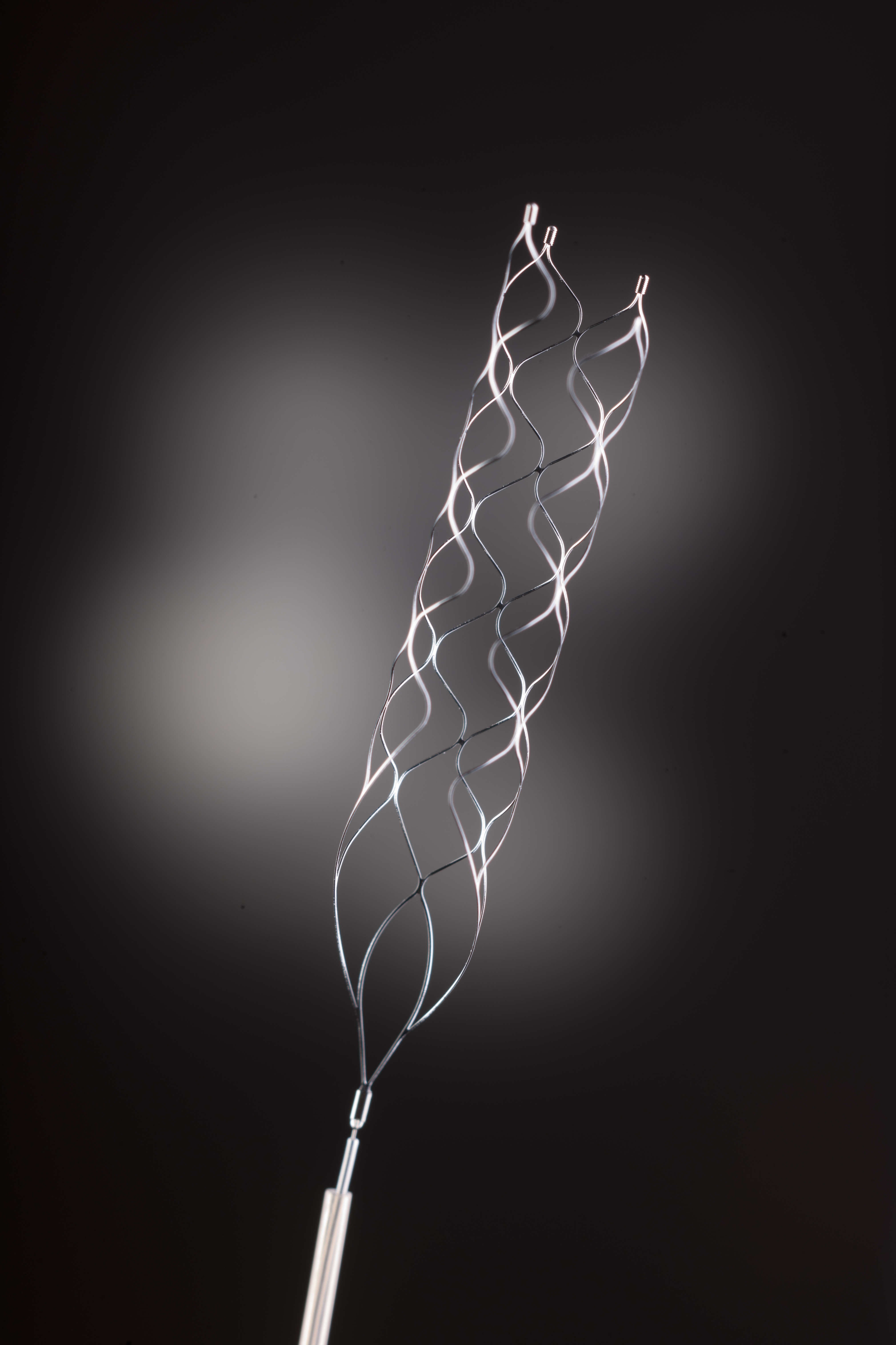 Patients treated with brain stents such as this one by Covidien were far more likely to be alive and able to live independently after their stroke, studies showed.