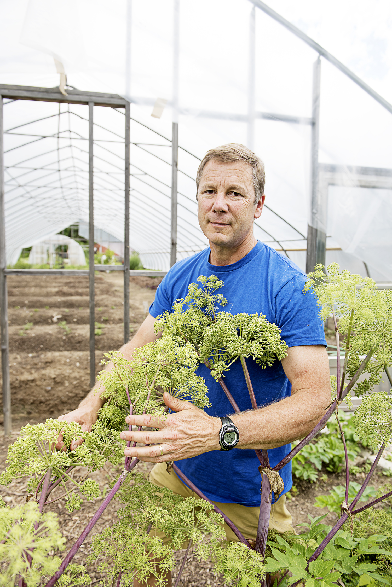 Berkshire Mountain owner and founder Chris Weld with angelica, a gin botanical.
