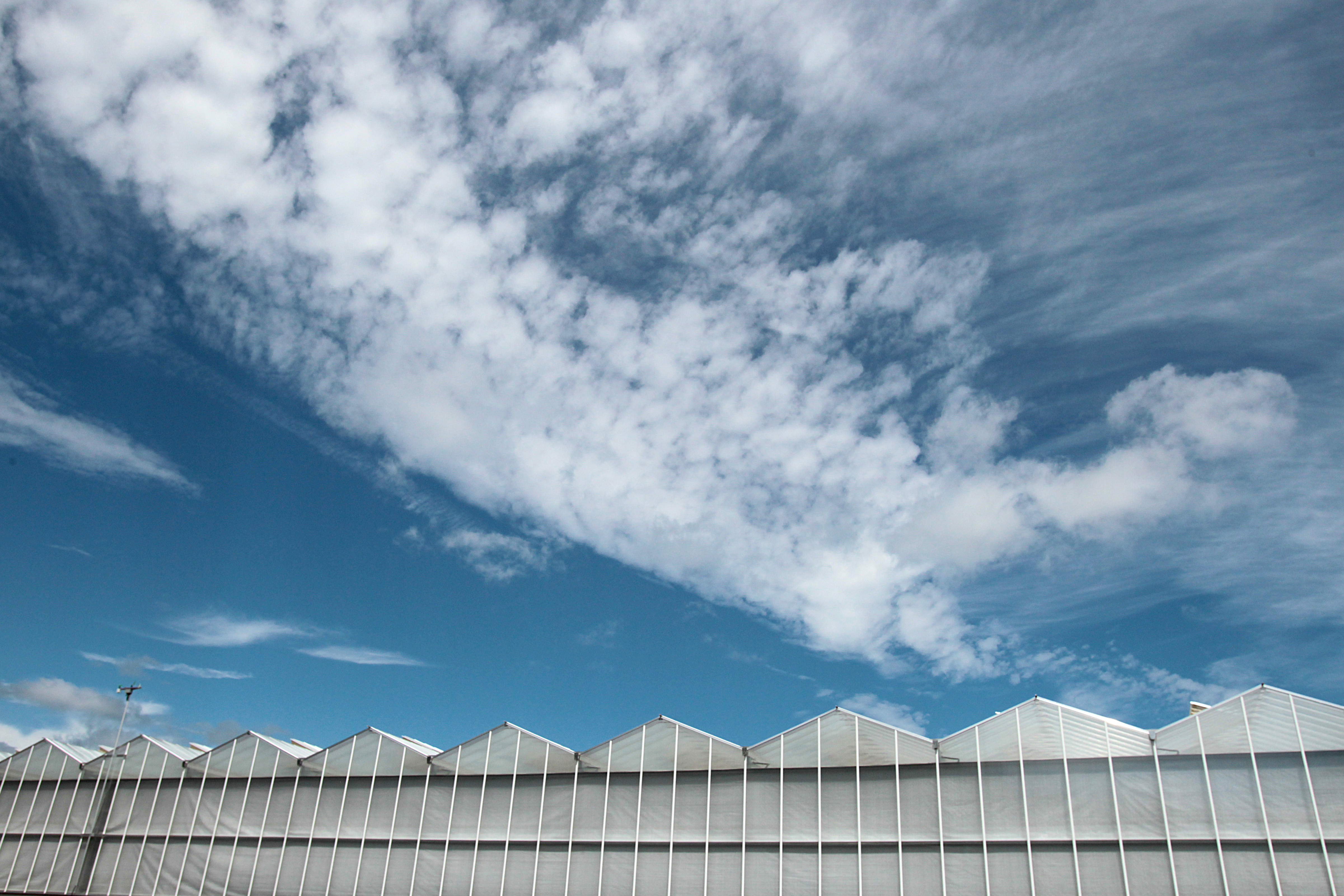 The farm’s 3-acre greenhouse, with a north-pitched roof, captures rainwater for storage in a two-million-gallon basin.