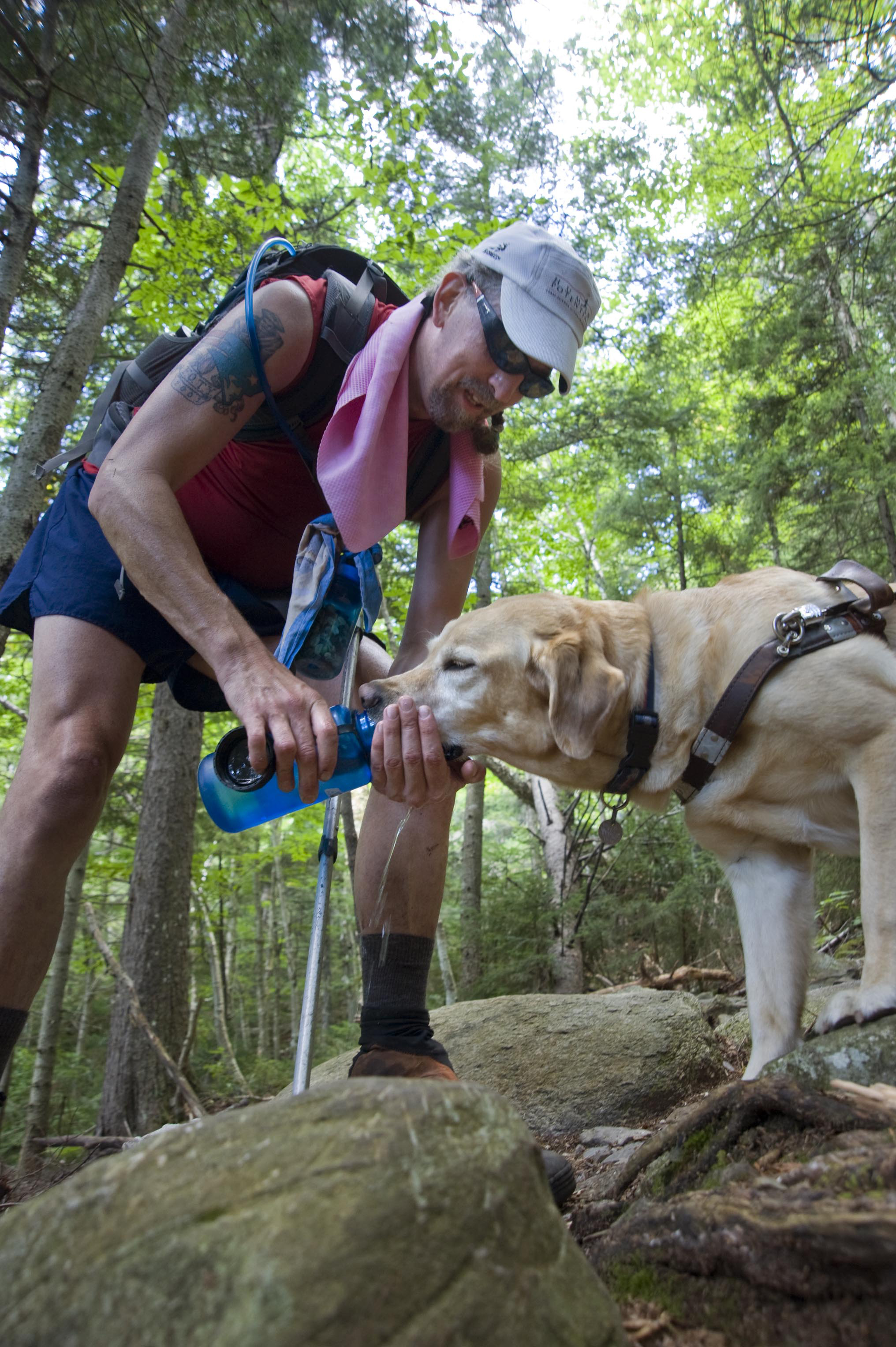Randy Pierce cupped his hand to form a drinking bowl for his guide dog, The Mighty Quinn.