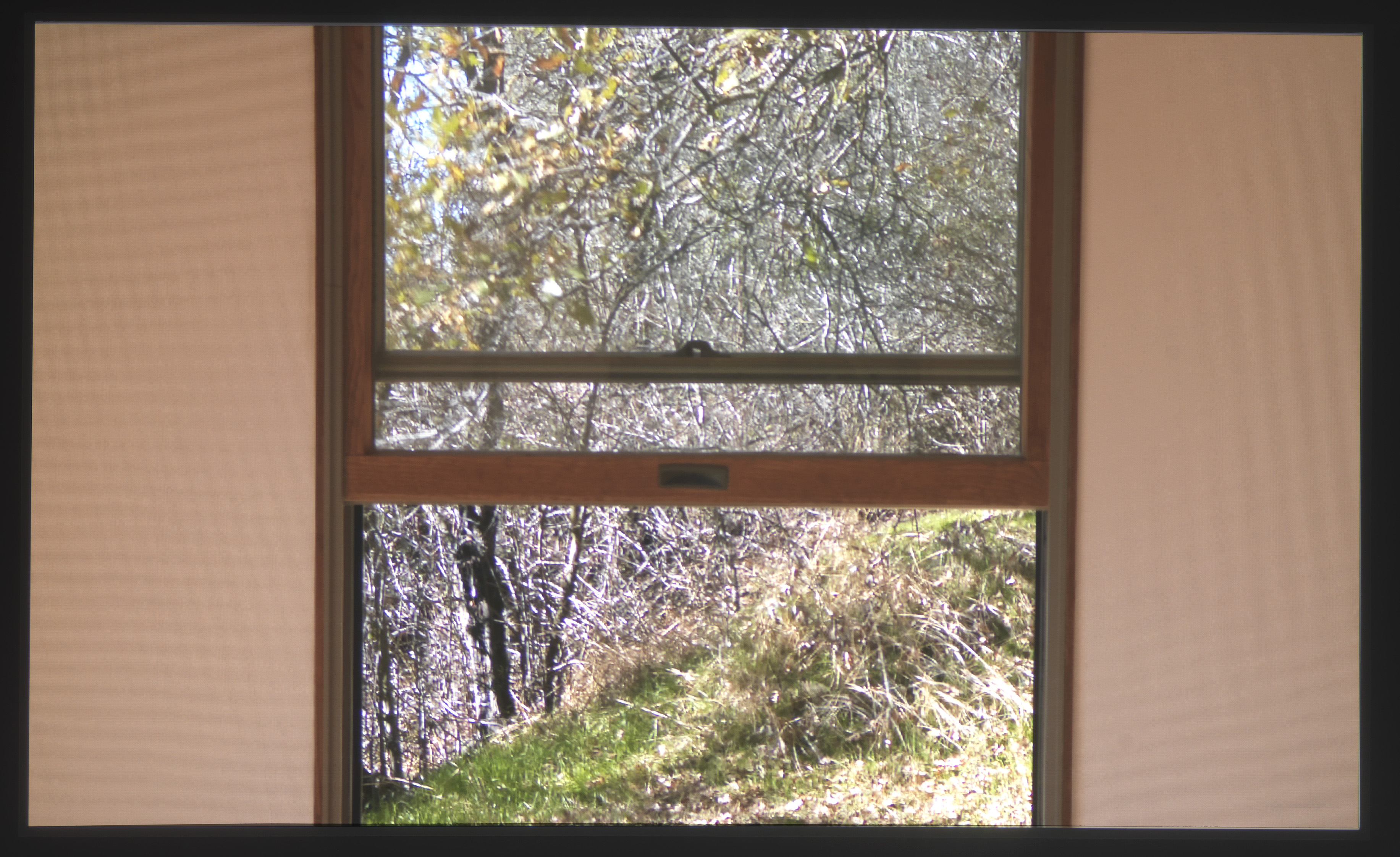 Benning’s replica of Unabomber Theodore Kaczynski’s shed. Benning’s “Two Cabins” sets quiet videos shot from within each side by side.