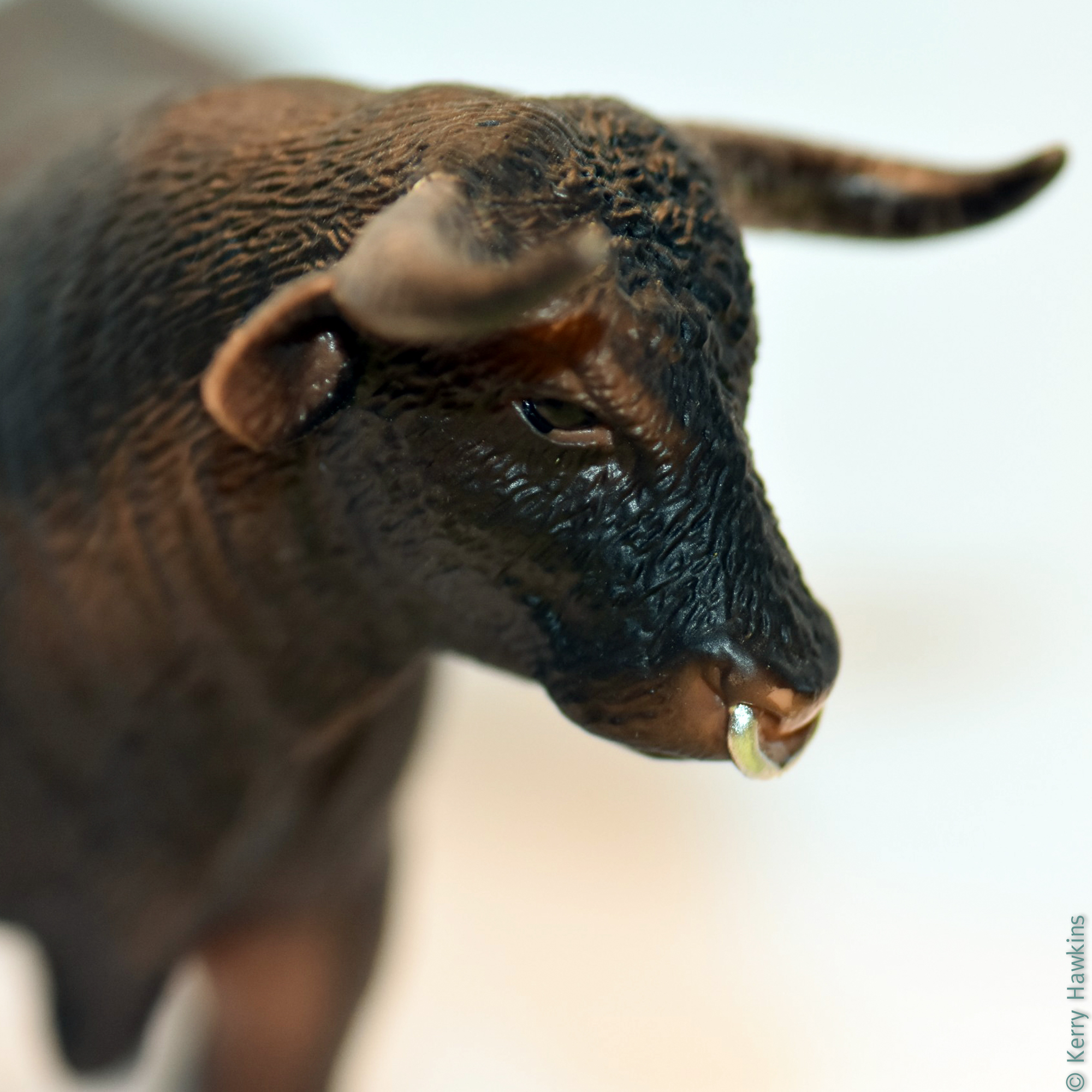 The Dedham Square Artist Guild is showcasing small works. This piece is titled “Bull,” by Kerry Hawkins of Dedham.