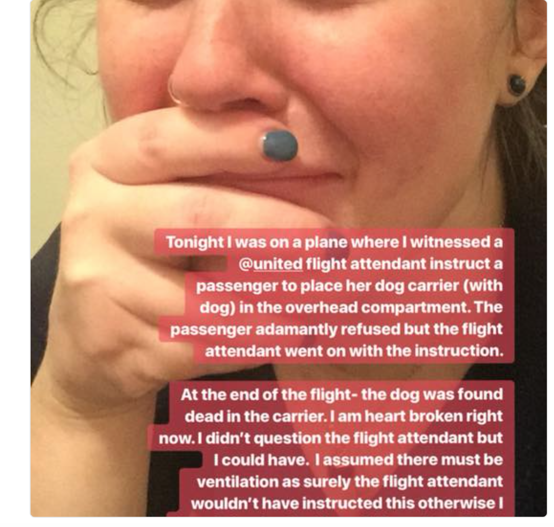 After the death of a dog on a United Airlines flight, passenger Maggie Gremminger posted this statement on her Twitter account.