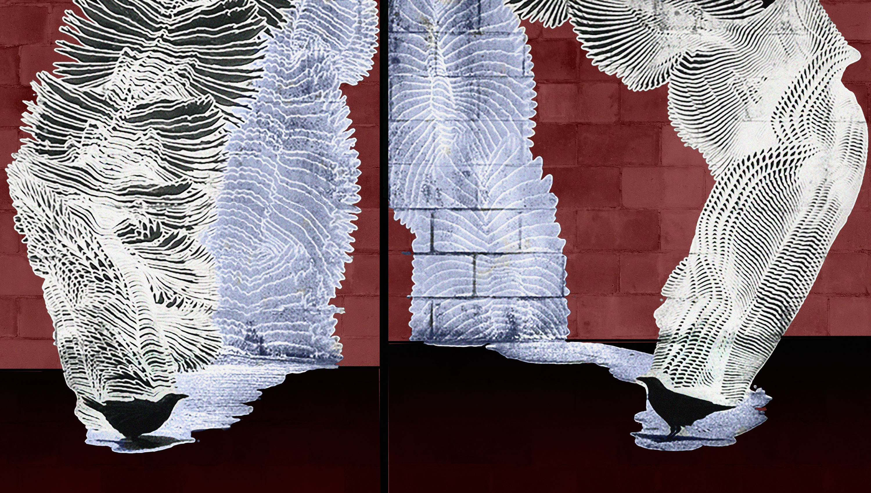 The digital image “Two Crows Land Differently” by Dennis Hlynsky is part of the exhibition “Murders and Other Flying Things” on display at Essex Art Center.
