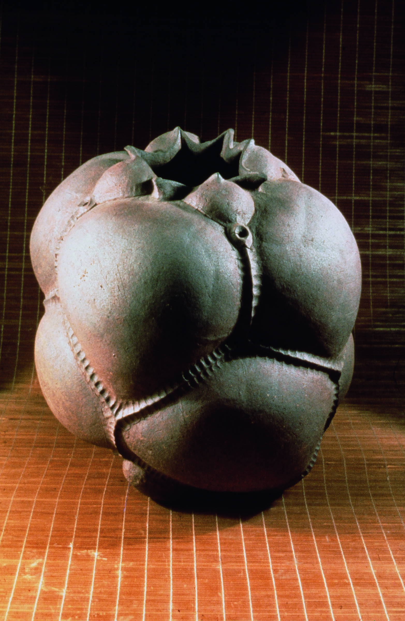 William Daley’s “Pod Form” in the “14 for 7” exhibit.