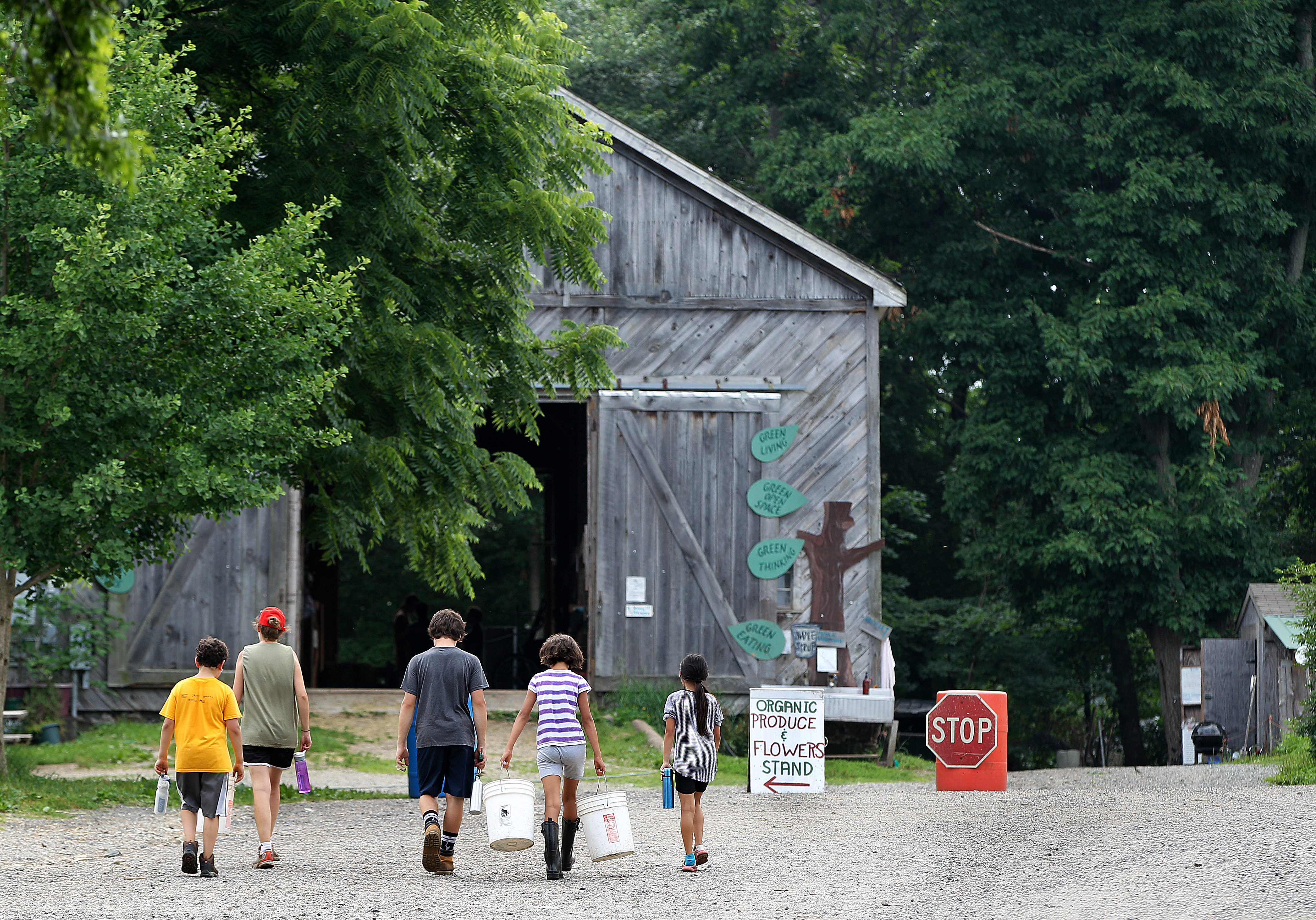 Natick Community Organic Farm.