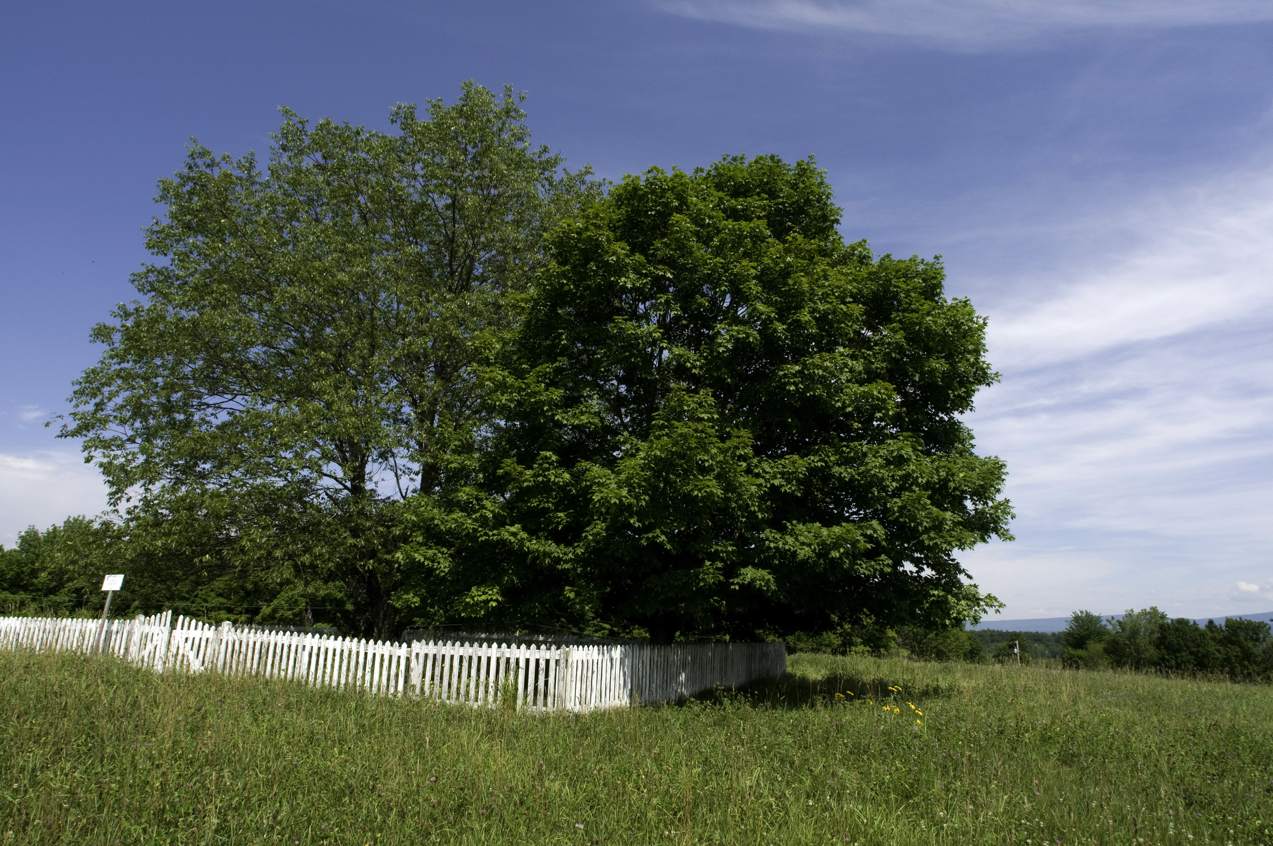 The Aldrich Cemetery as it looked in 2008, located within a white picket enclosure.