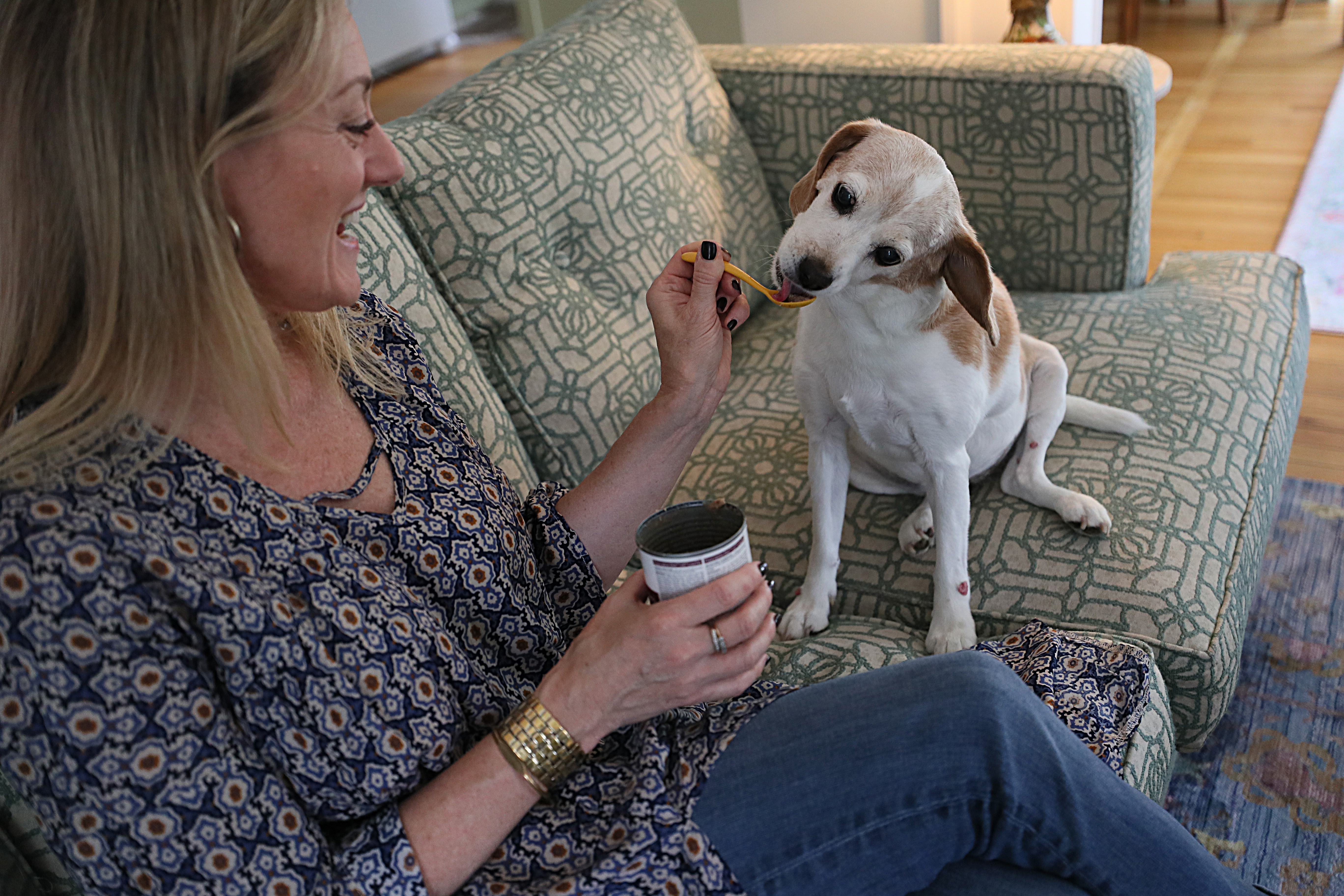 Tildy’s owner, Lizzy Flanagan, used to walk her at 5 a.m. in a deserted CVS parking lot and stopped having as many friends over.