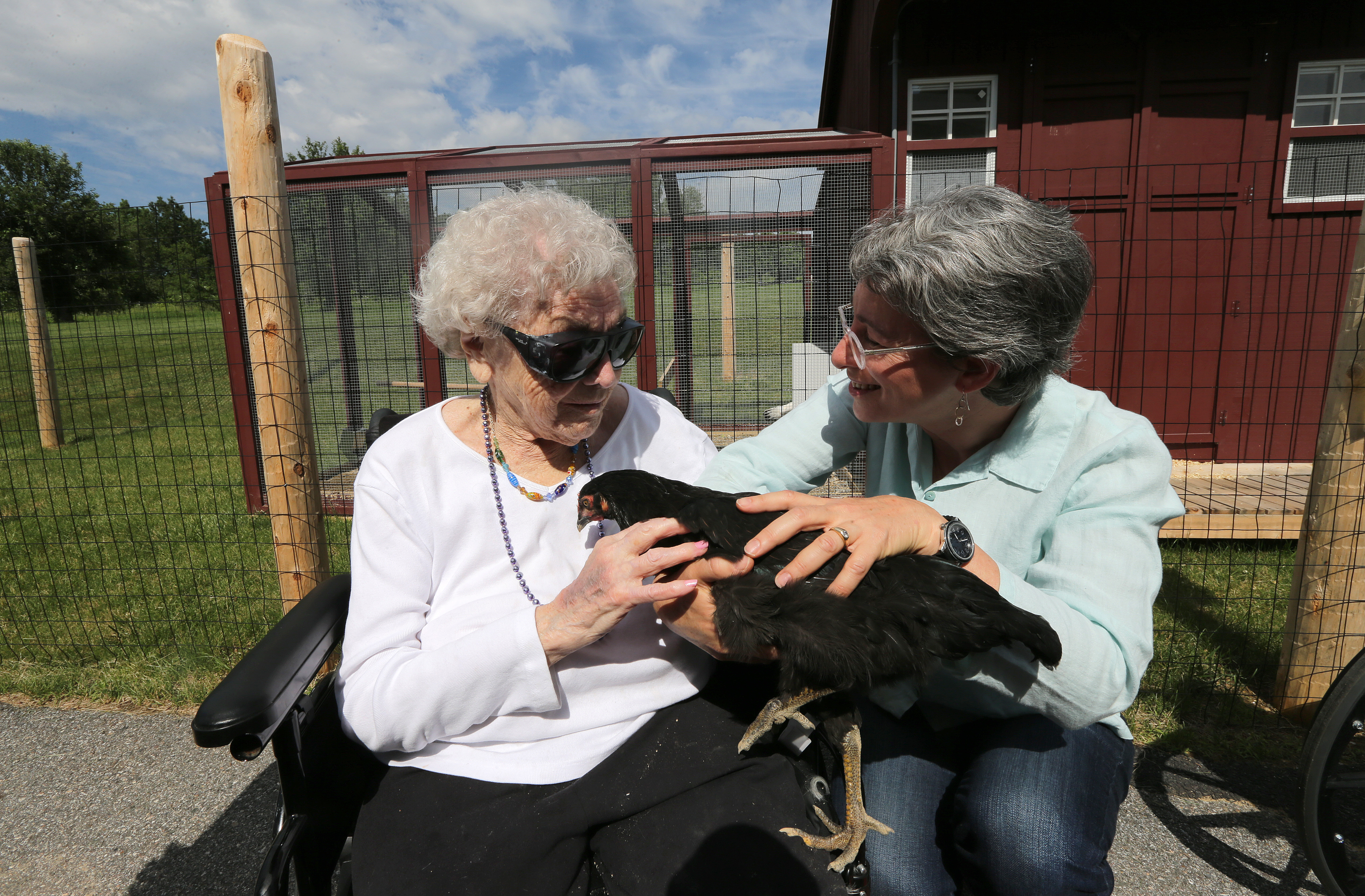 Resident Thelma Mollot, age 101, was introduced to "Beulah," by "Chicken Captain" Terry Golson (right).
