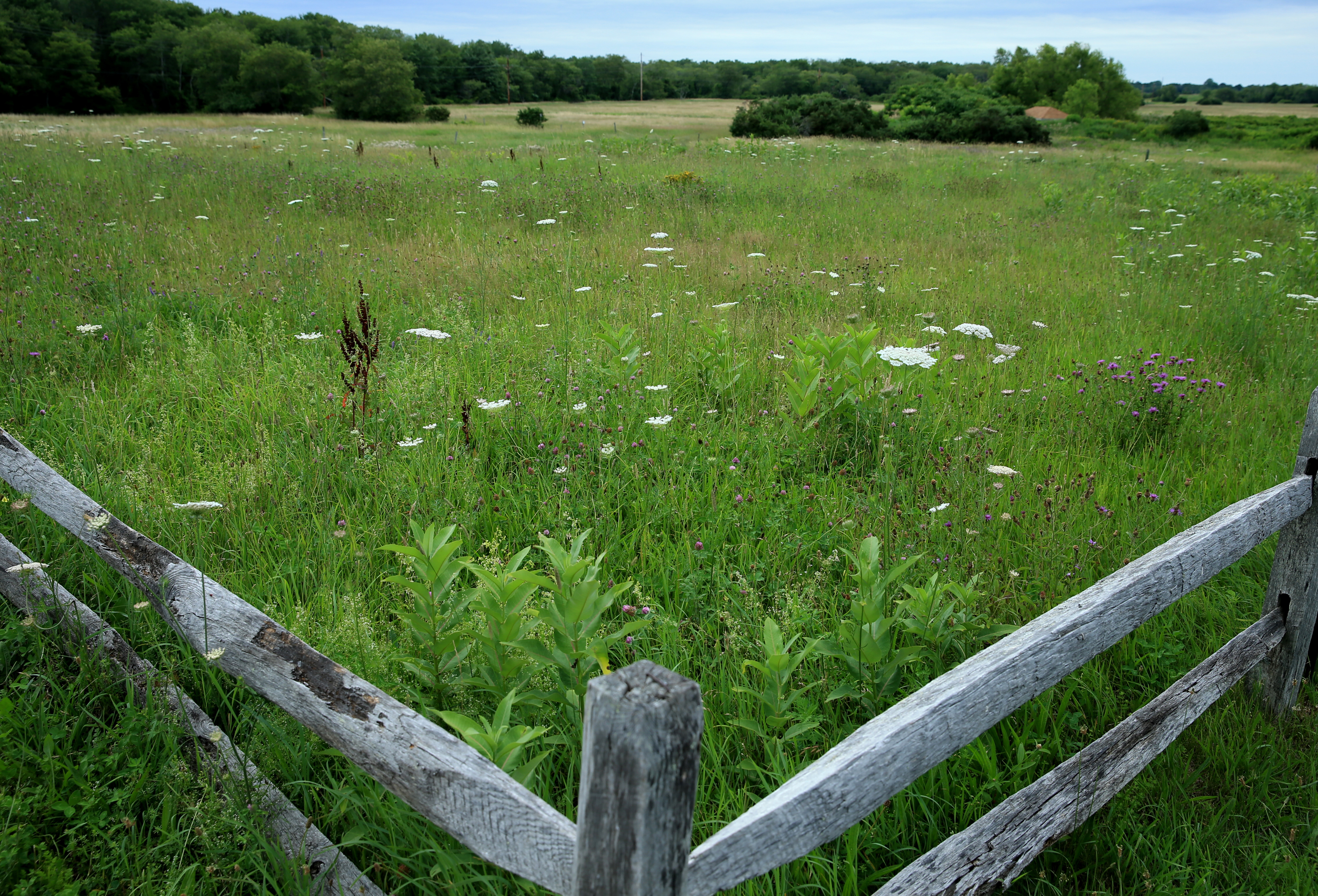 Daniel Webster Wildlife Sanctuary.