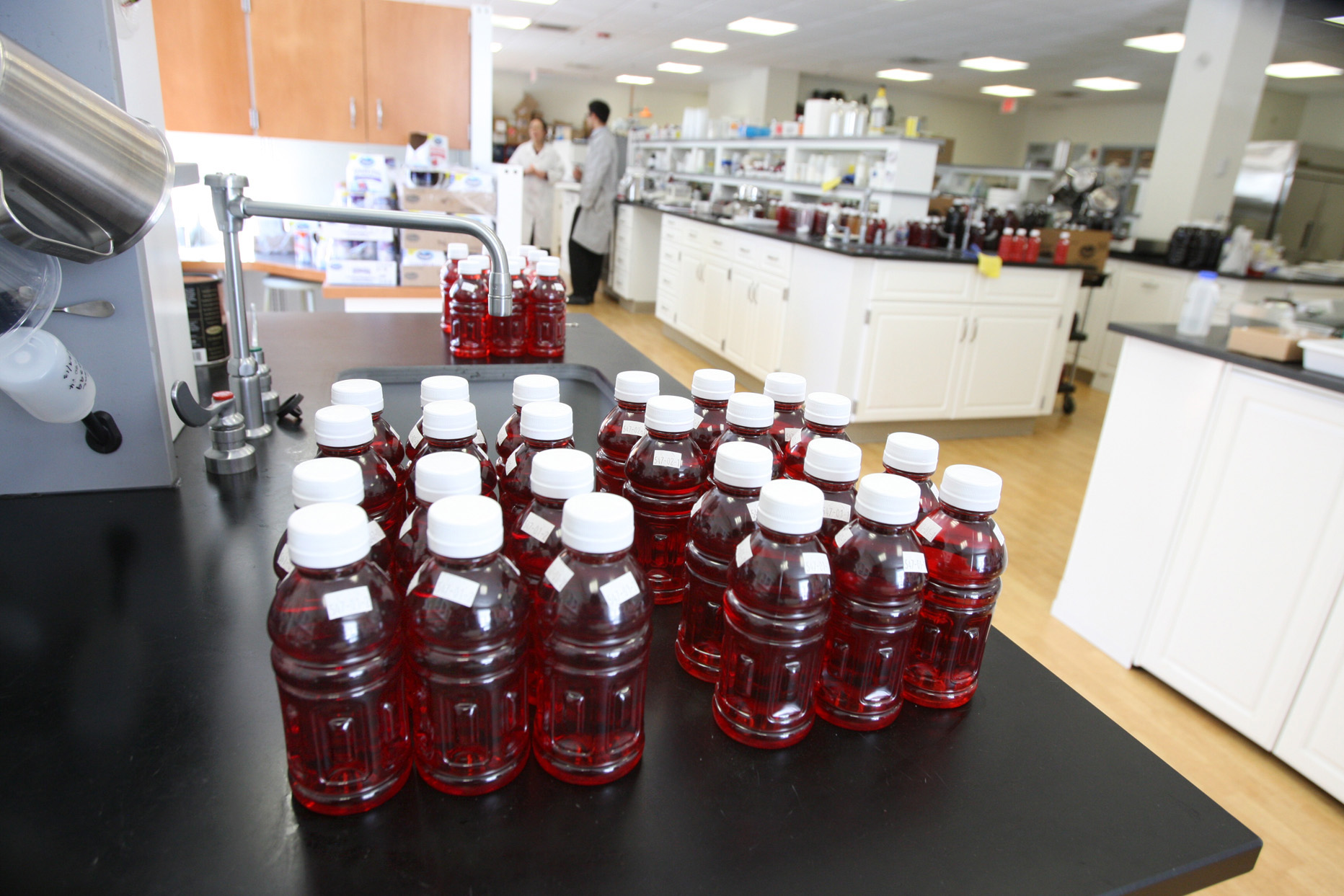 ocean spray labradors