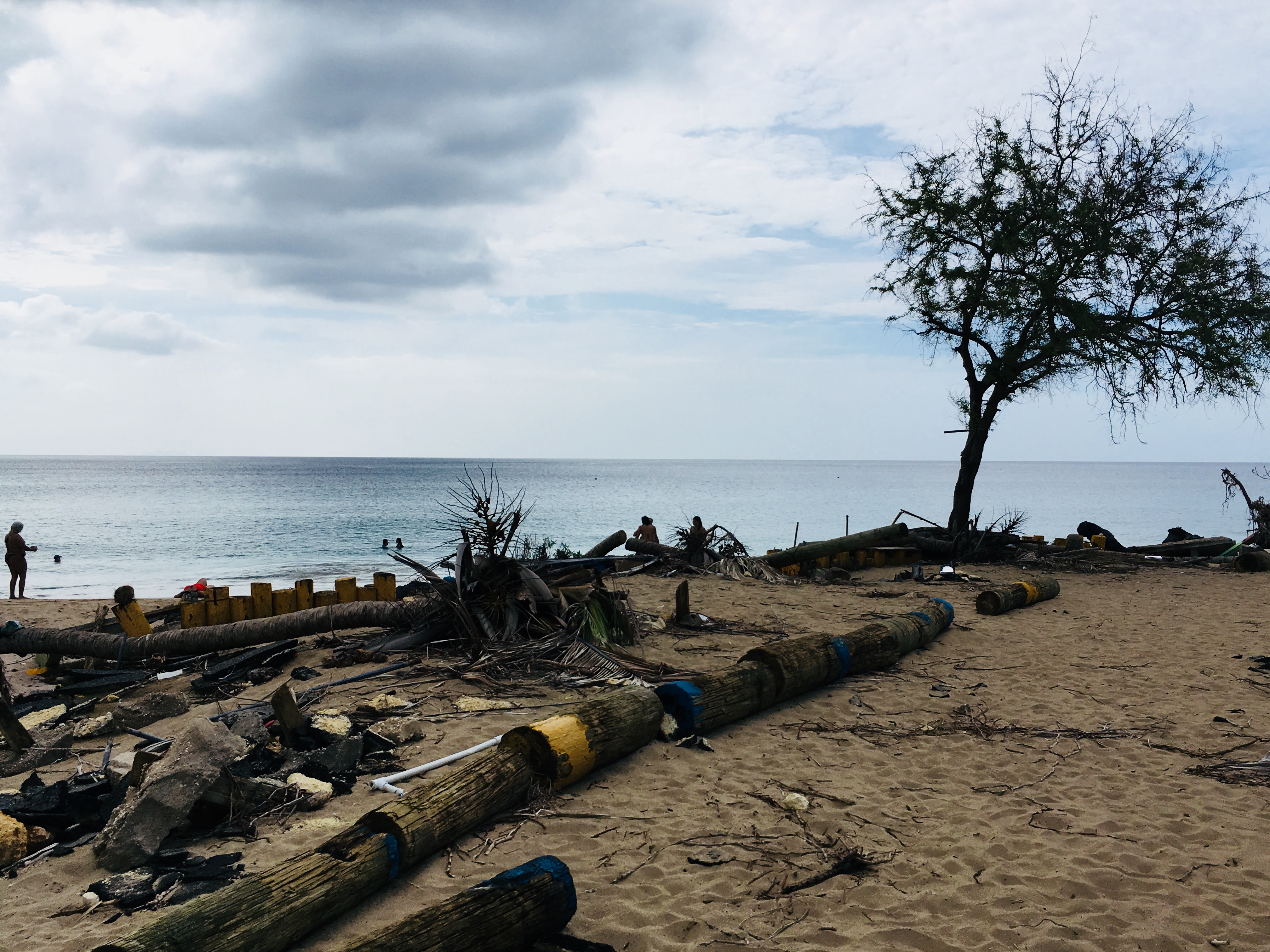 The hurricane damage at Crash Boat Beach, Sylvia Ramirez’s favorite hangout in childhood, shocked her.