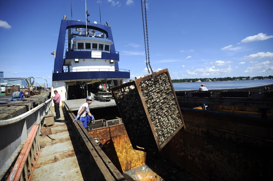 A container of clams was unloaded from the Sea Watcher 1 in New Bedford.