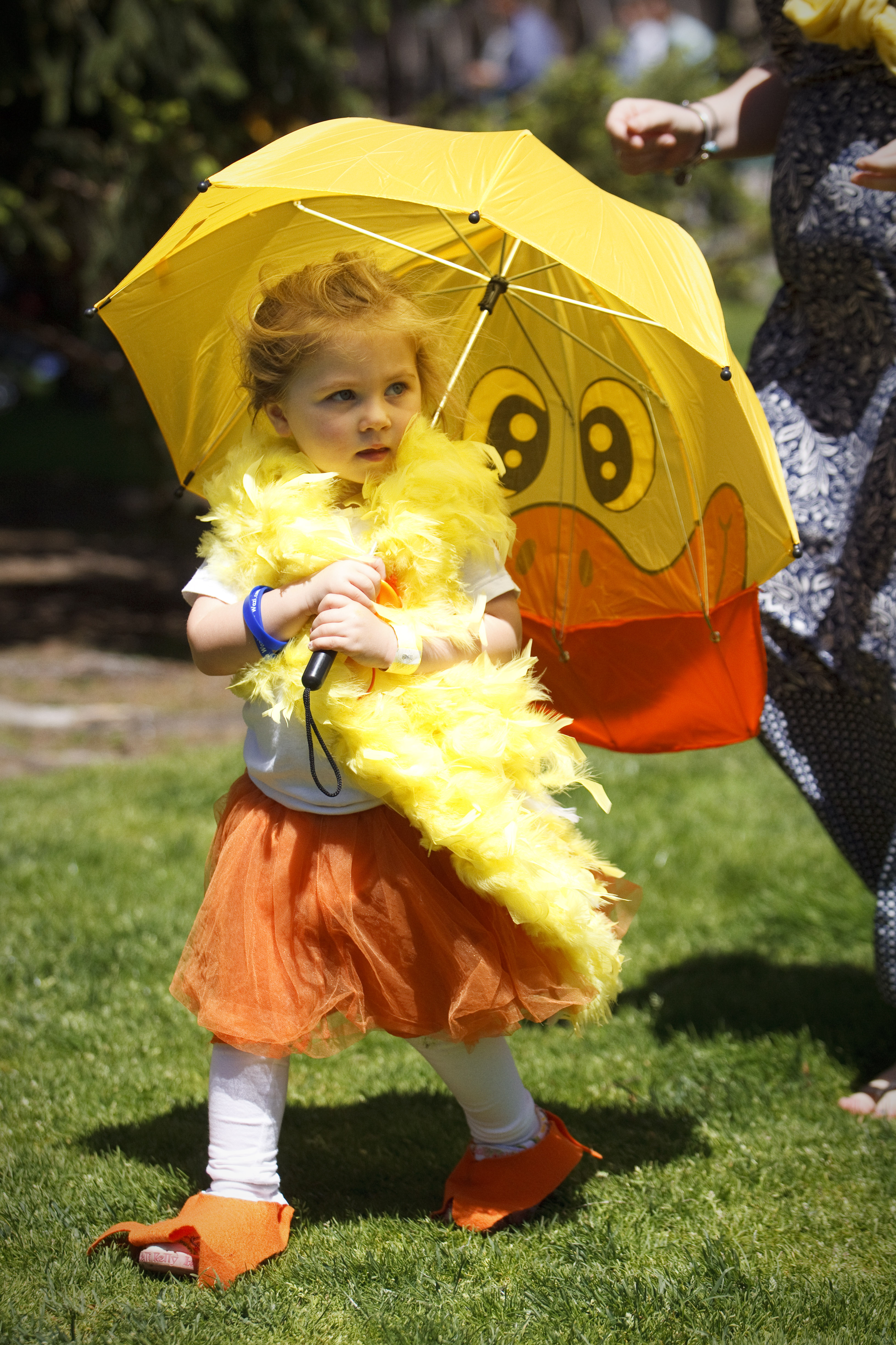 Emily Cogan, 3, of Norwell, at the annual Make Way for Ducklings Parade.