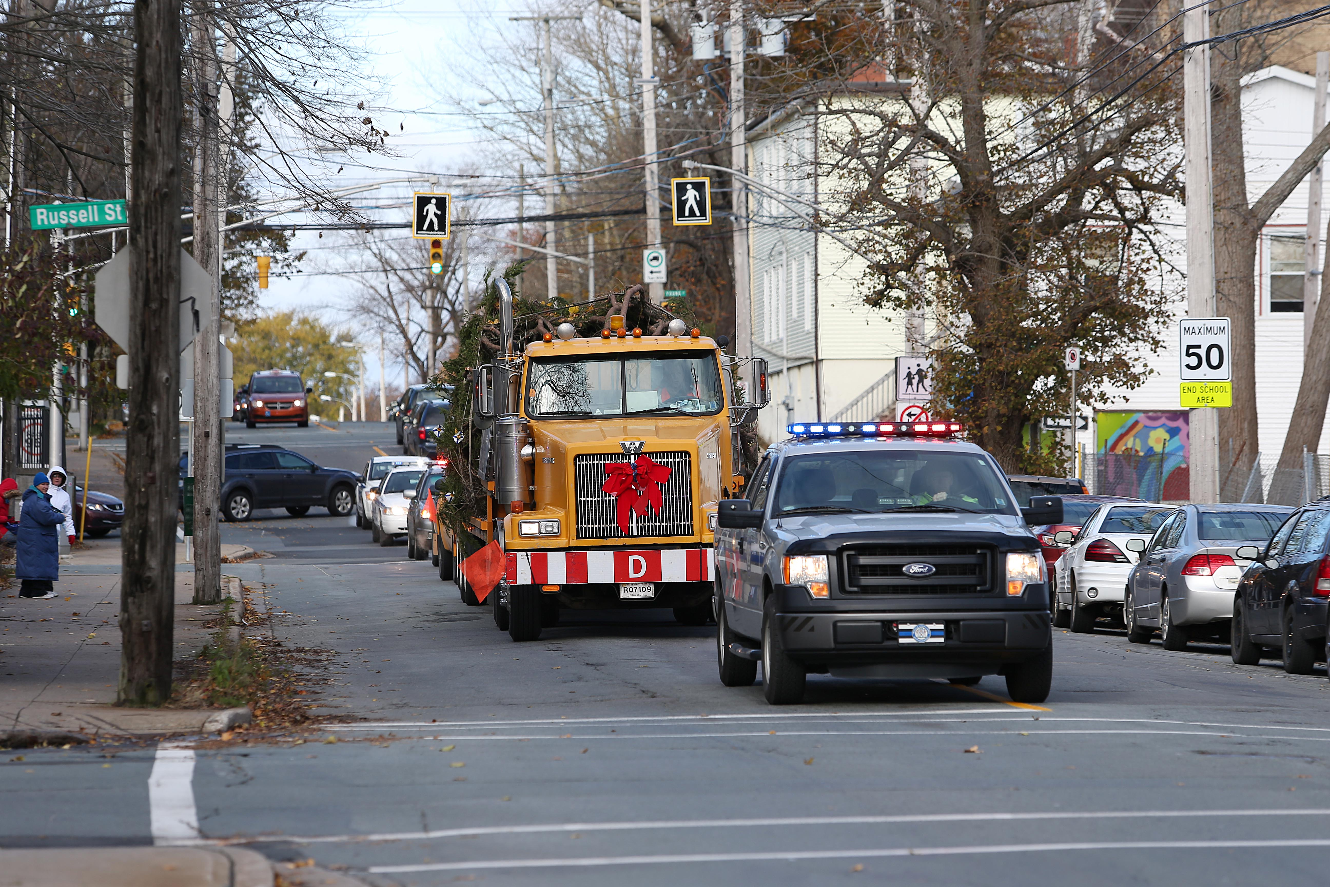 The Christmas tree is trucked through Halifax.