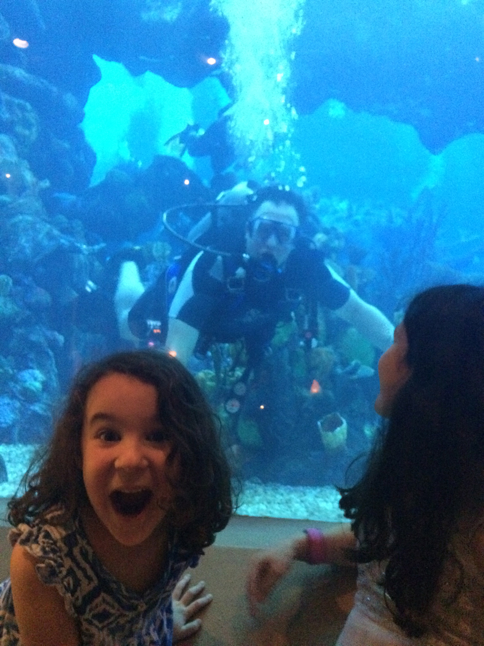 My husband scores a scuba dive in Epcot’s mega saltwater tank with just one day’s notice; we watch from the Coral Reef restaurant.