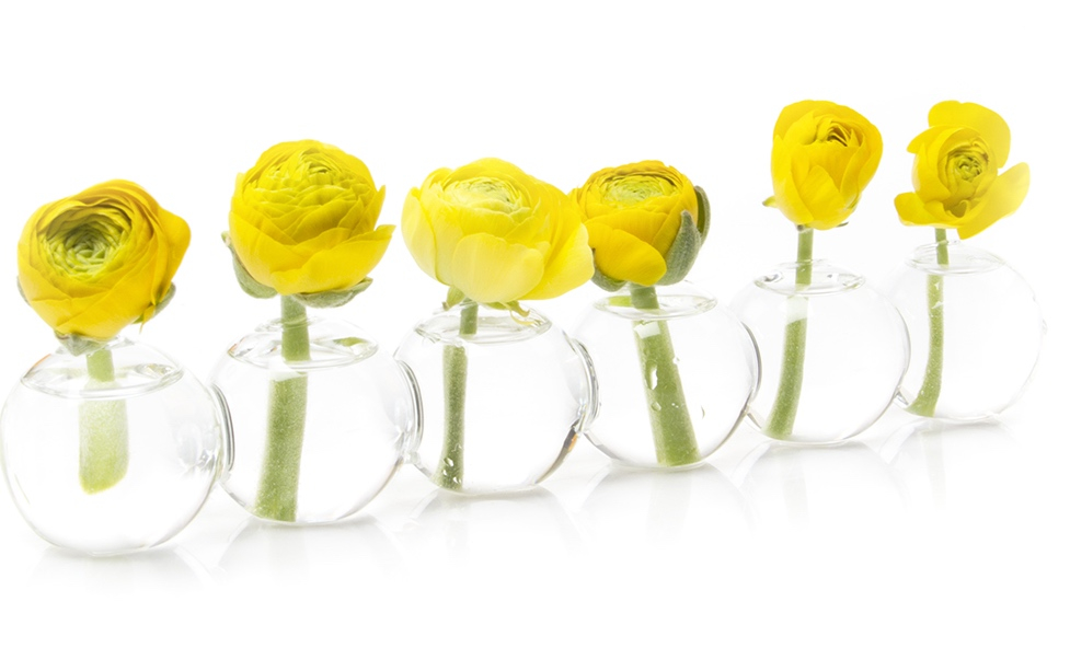 ShoppingWith/GiftGuide- âCaterpillarâ bud vase, $17.95 at deCordova | Store, 51 Sandy Pond Road, Lincoln. (handout)