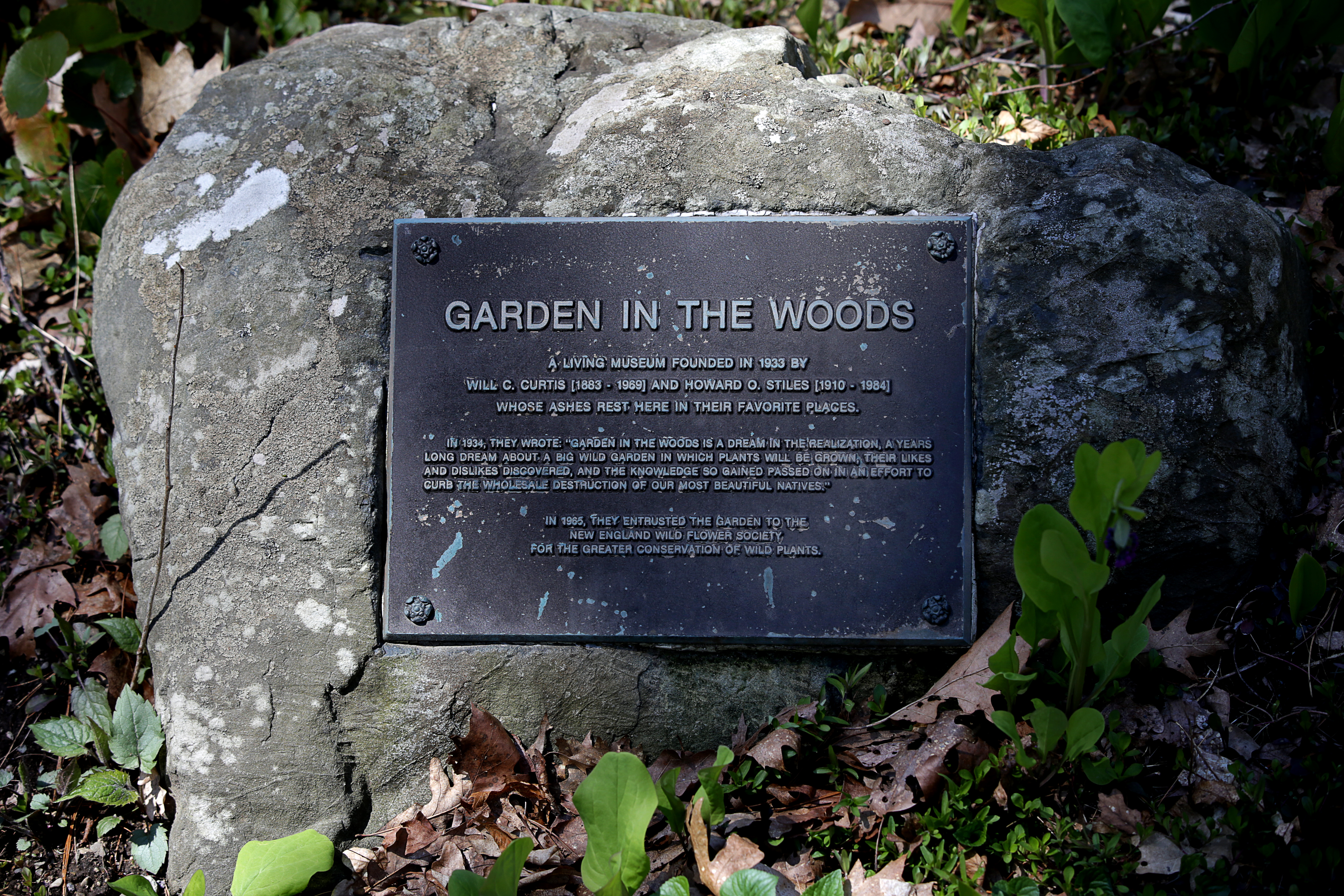 Garden in The Woods.