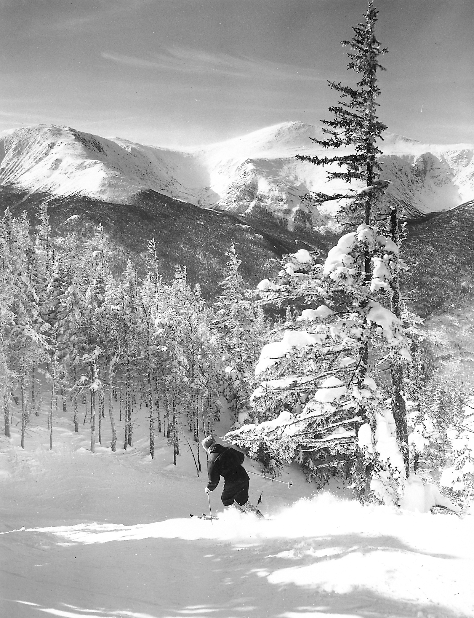 The Wildcat Mountain Trail was the first completed by the Civilian Conservation Corps in 1933.