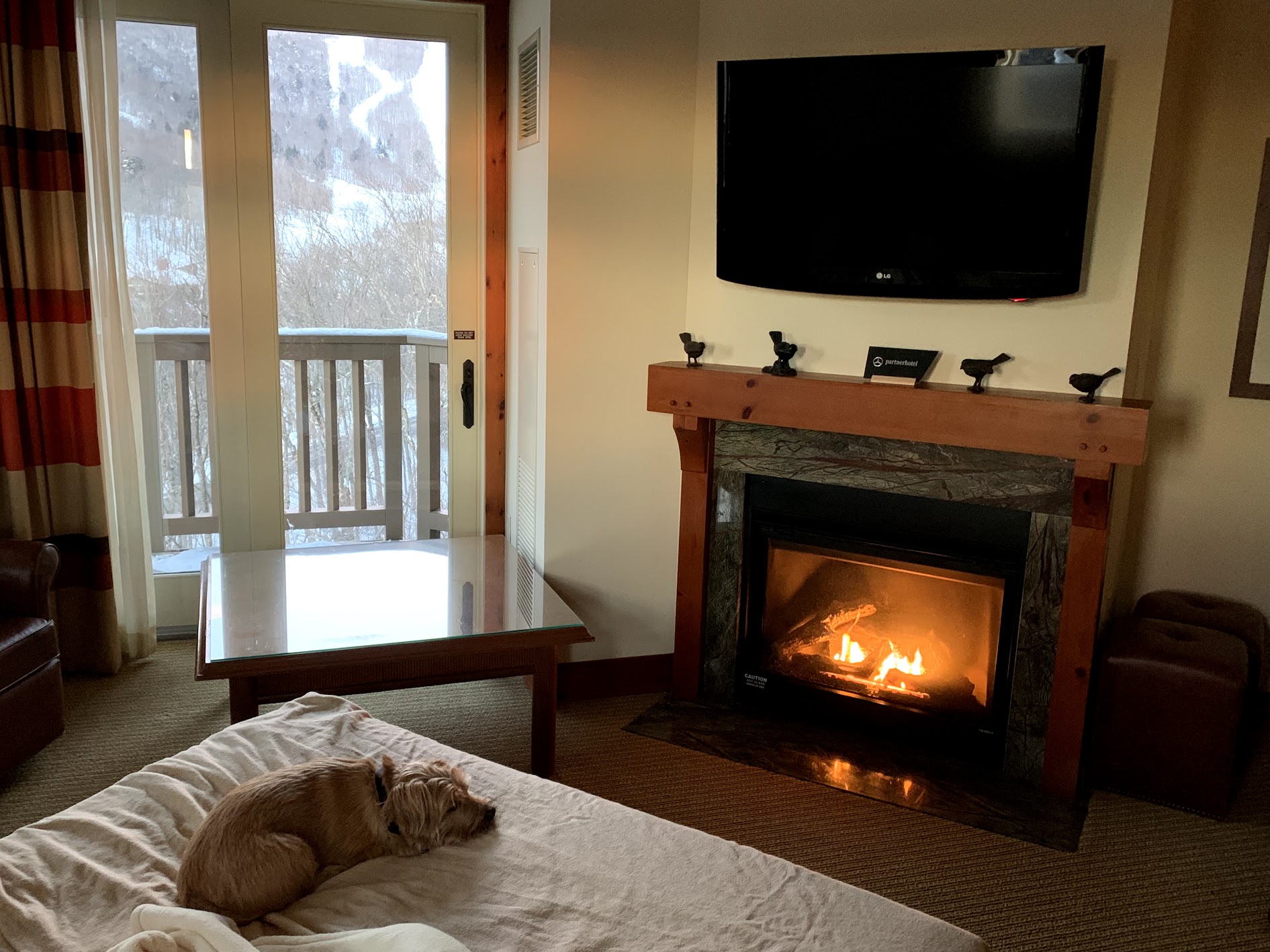 A dog-friendly guest suite in the main hotel.