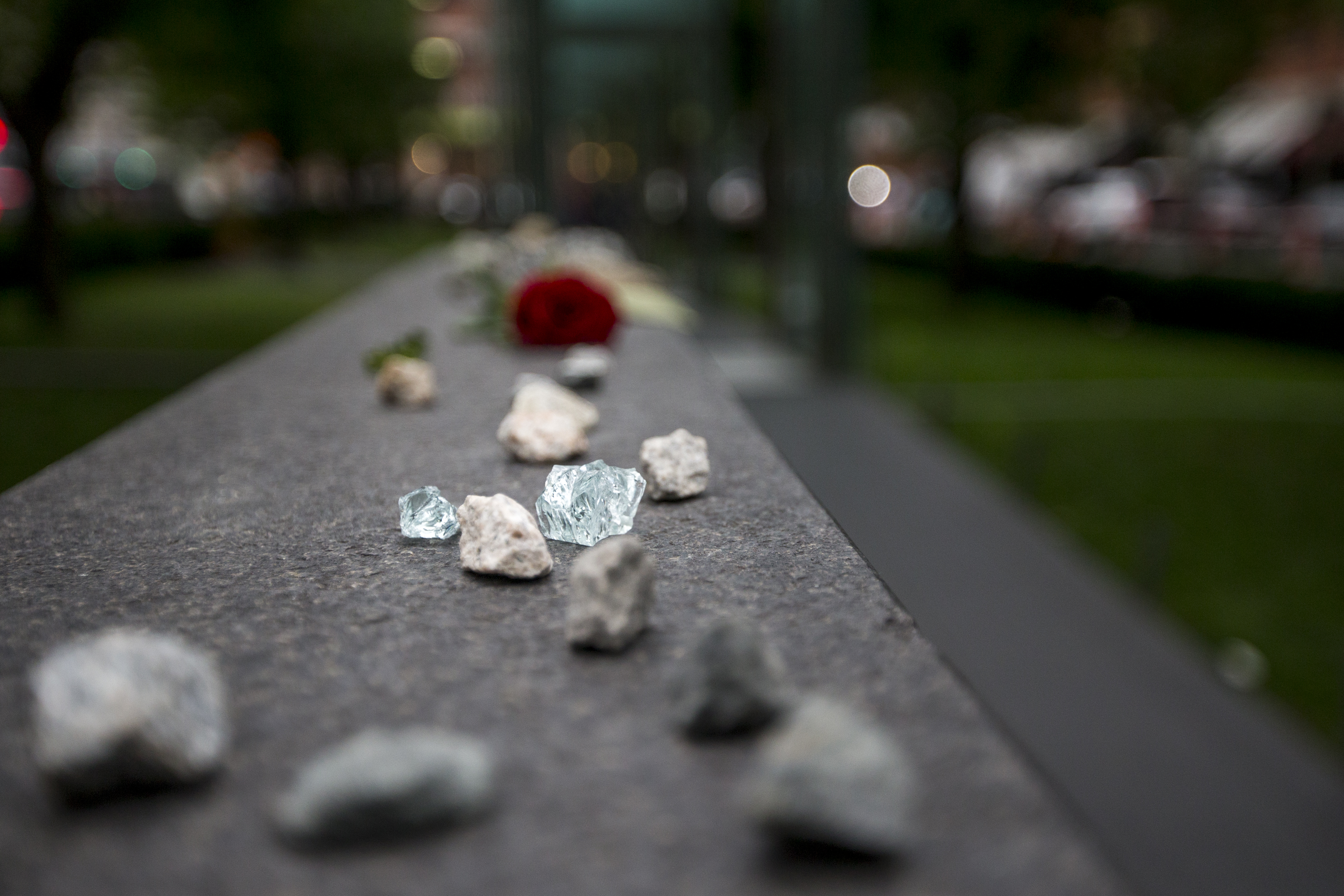 Shards of glass from the broken panel.