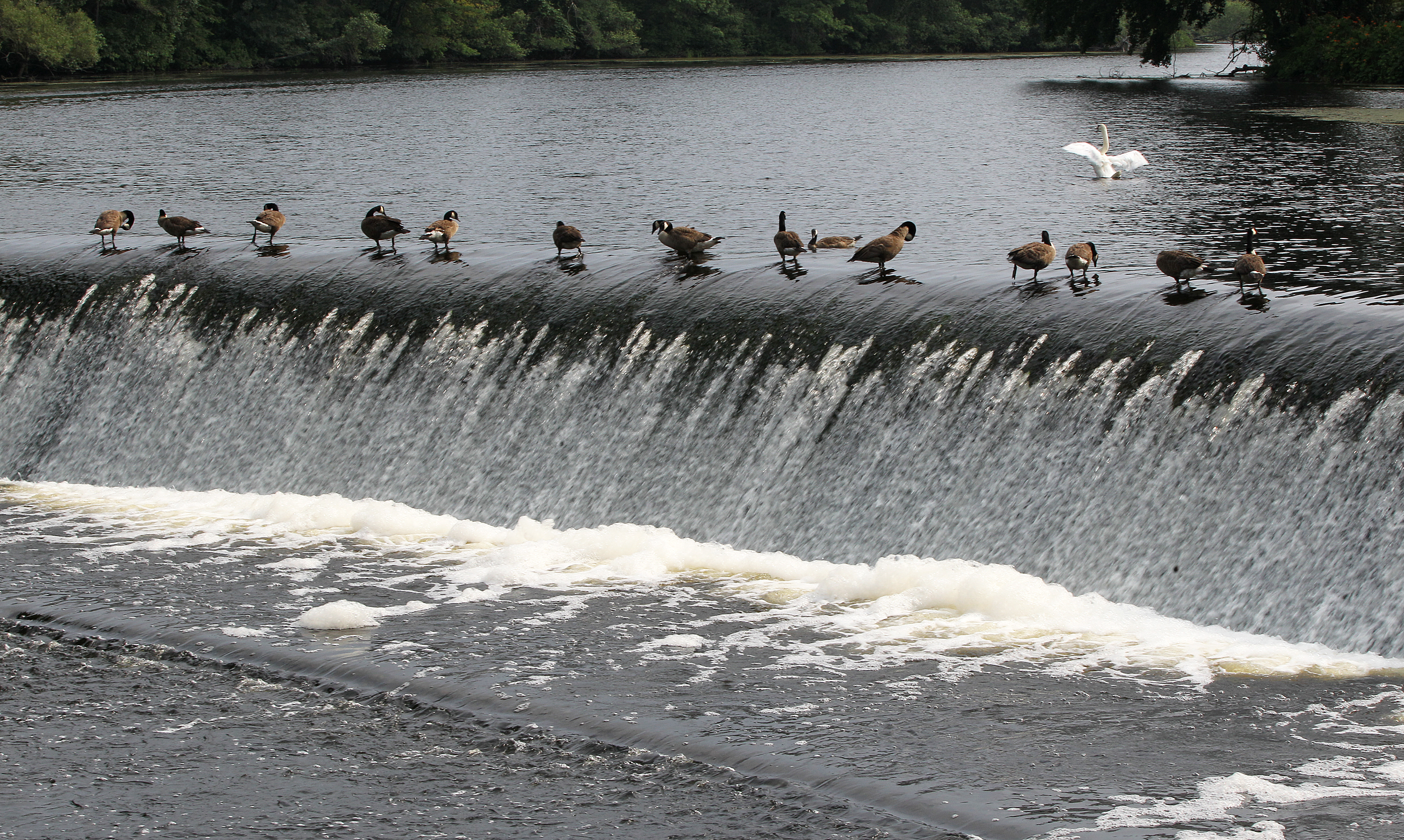 South Natick Dam.