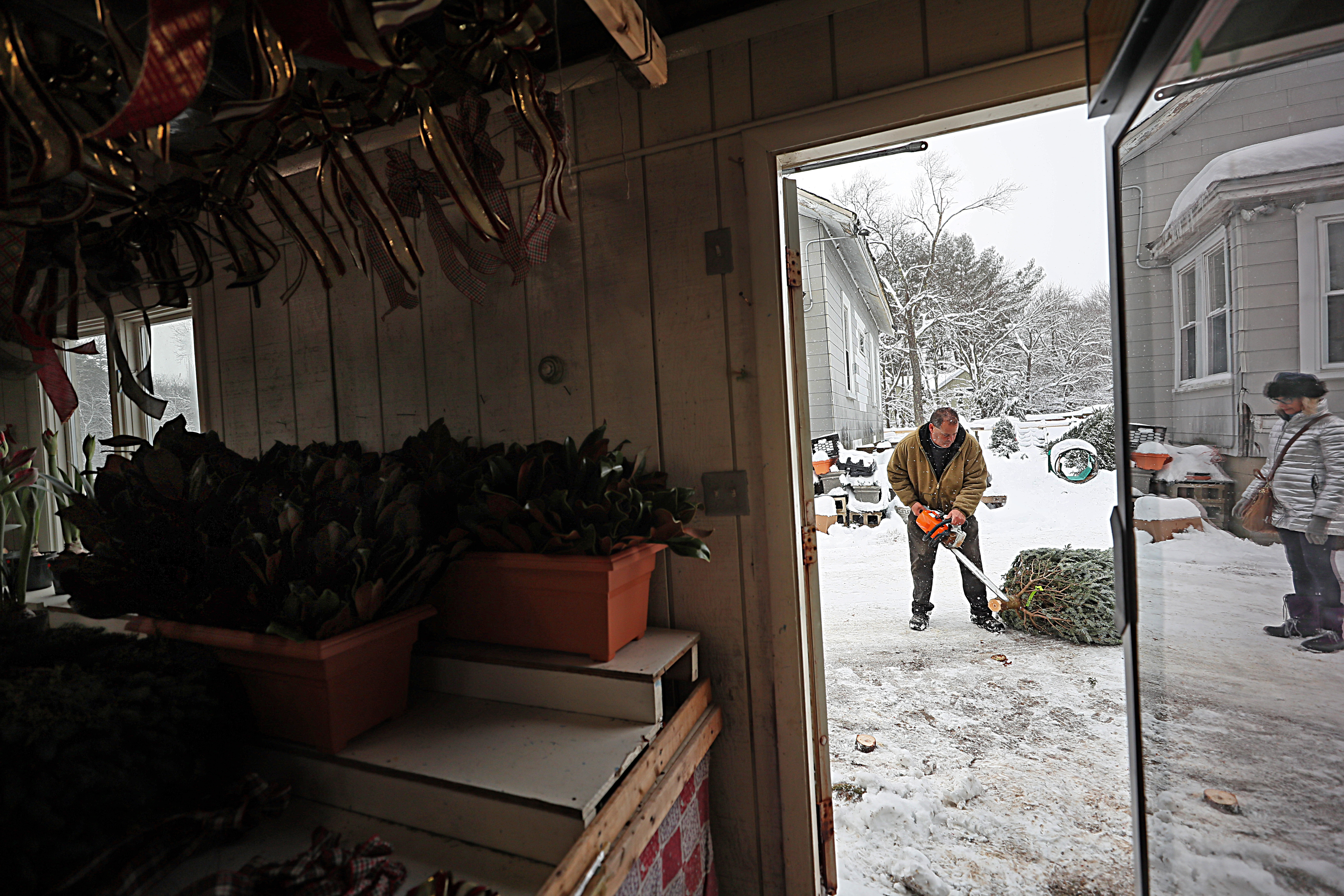 Craig Giurleo prepared a tree for a customer.