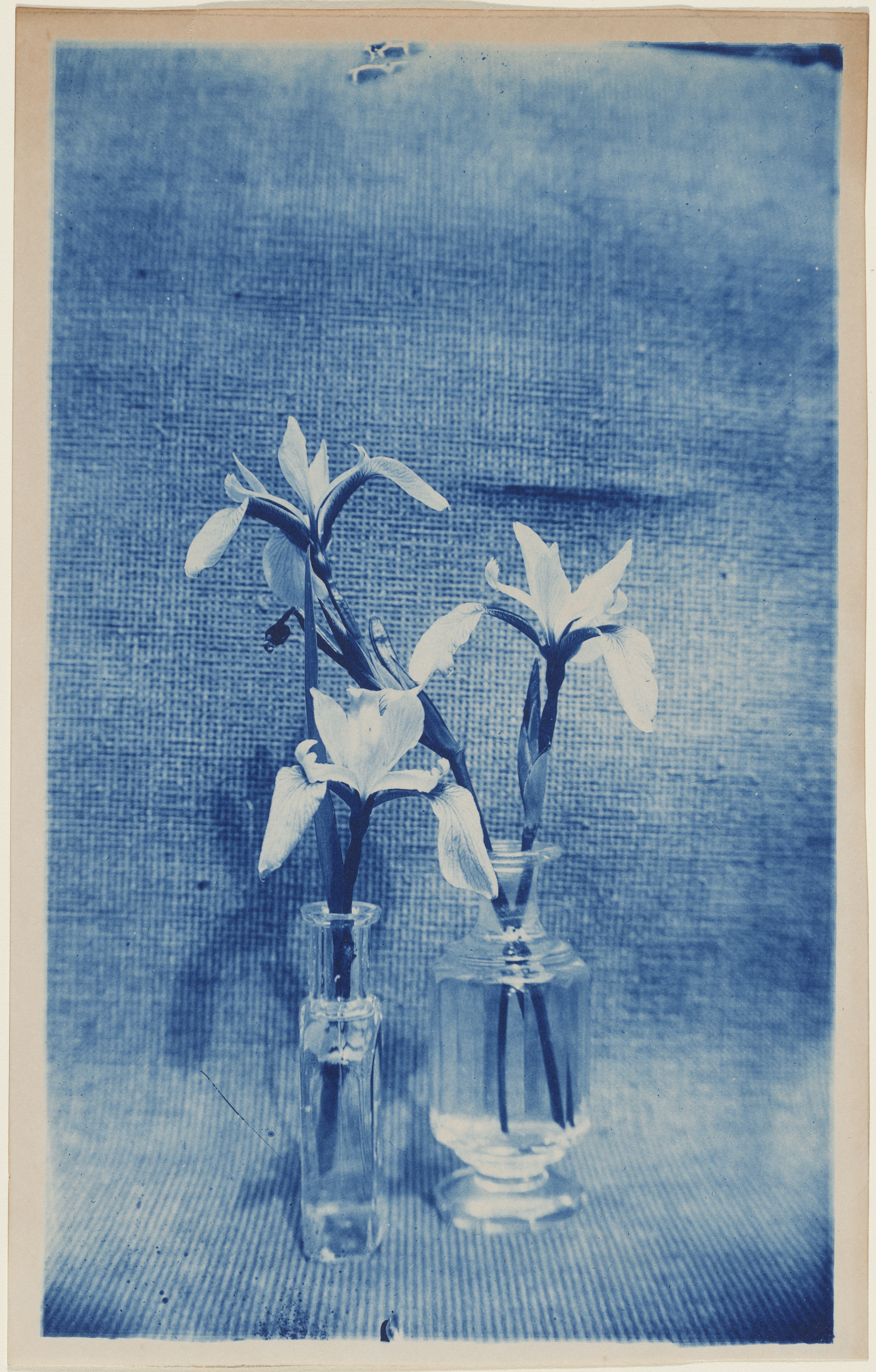 Arthur Wesley Dow’s “Two Vases With Irises.”