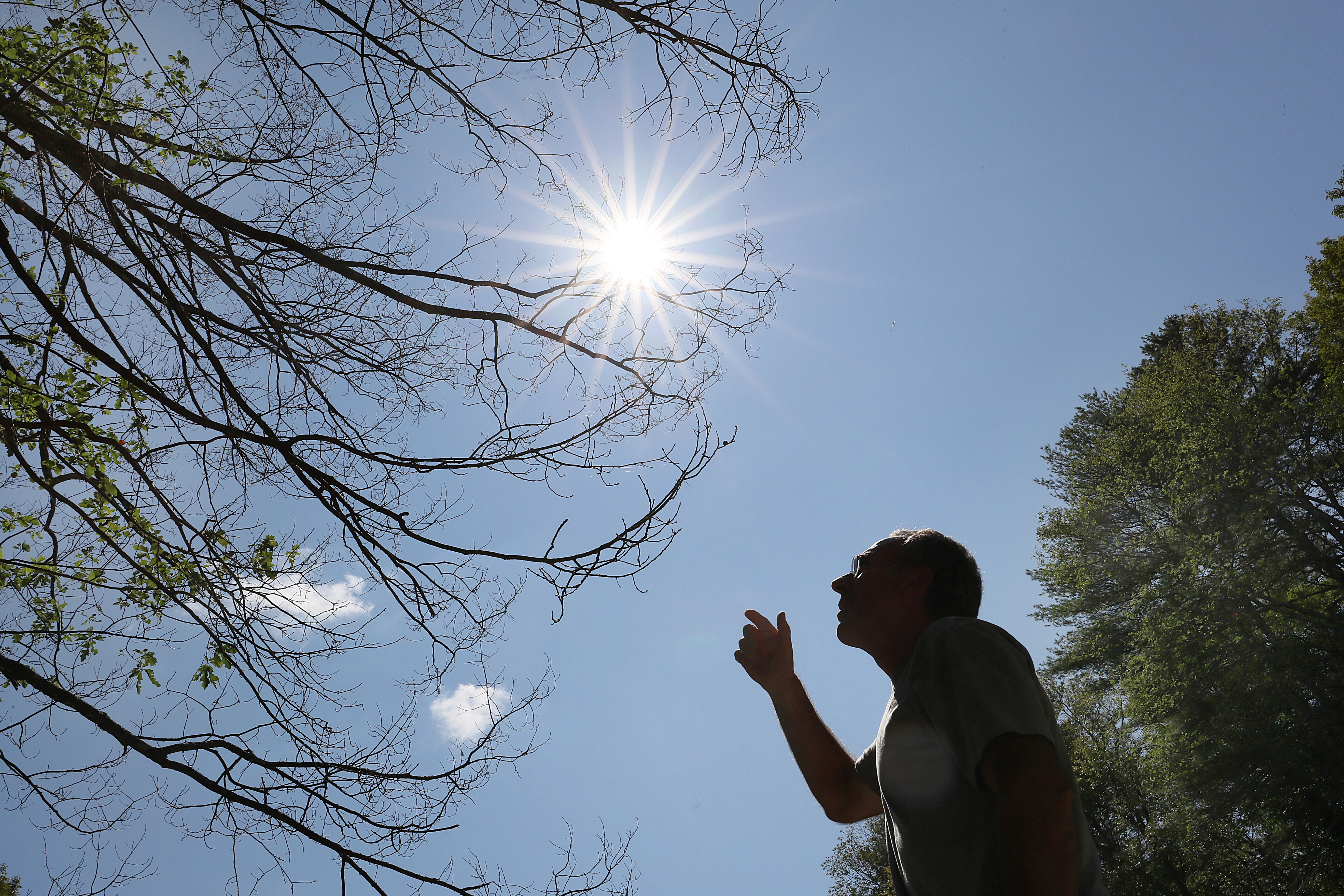 Ken Gooch, Forest Health Program Director with the DCR, shows damaged oak trees in the Wells State Park.