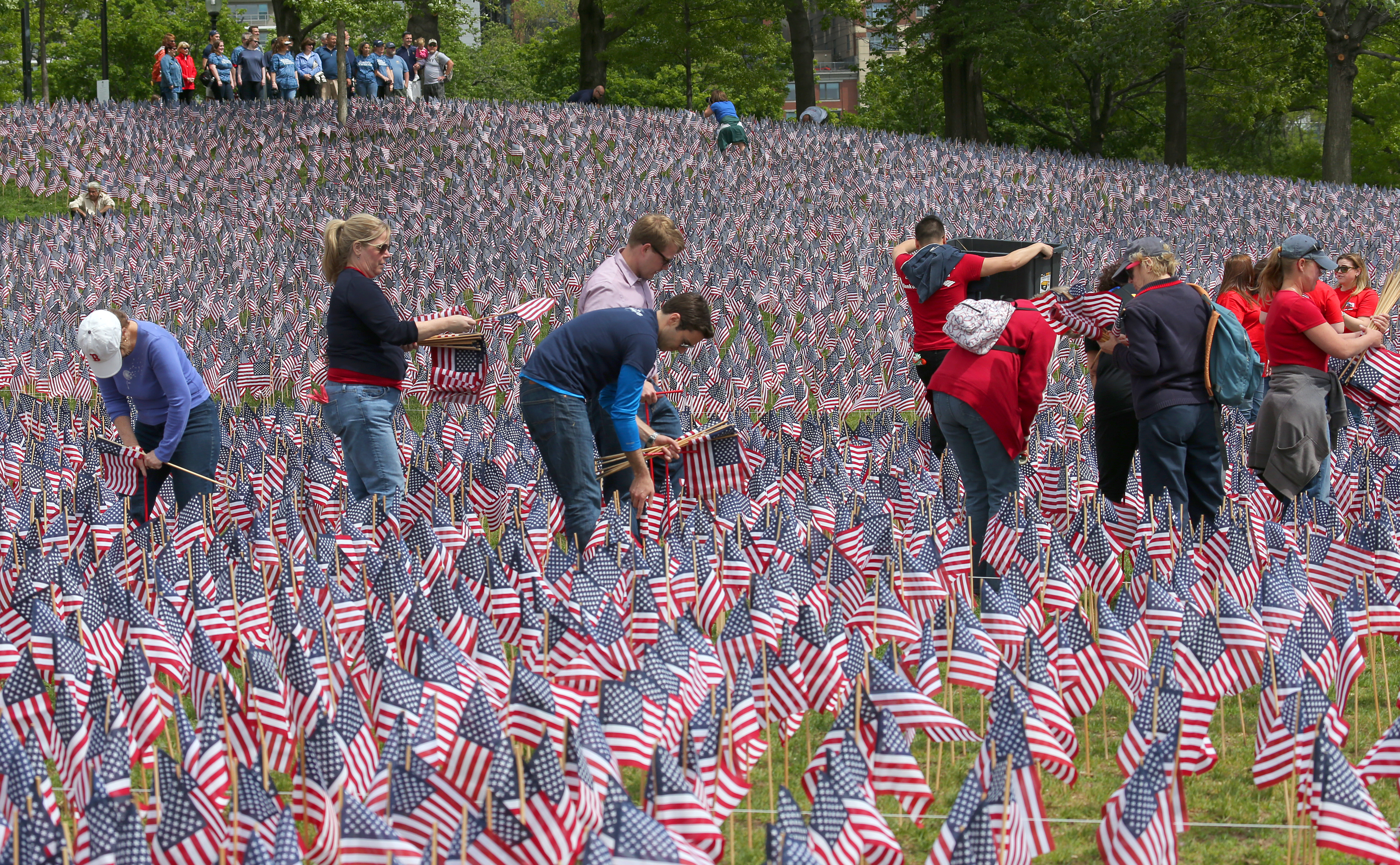 Hundreds of volunteers planted nearly 37,000 flags in Boston Common leading up to Memorial Day weekend.