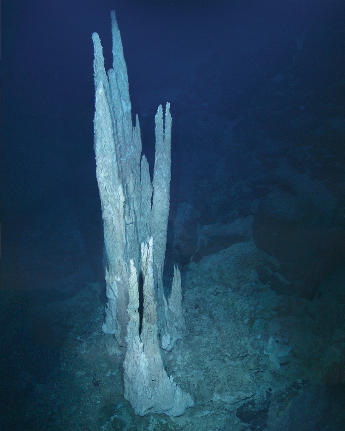 The Lost City vent field.