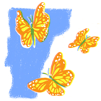 Vermont state butterfly: Monarch, 1987