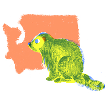 Washington state endemic mammal: Olympic marmot, 2009.