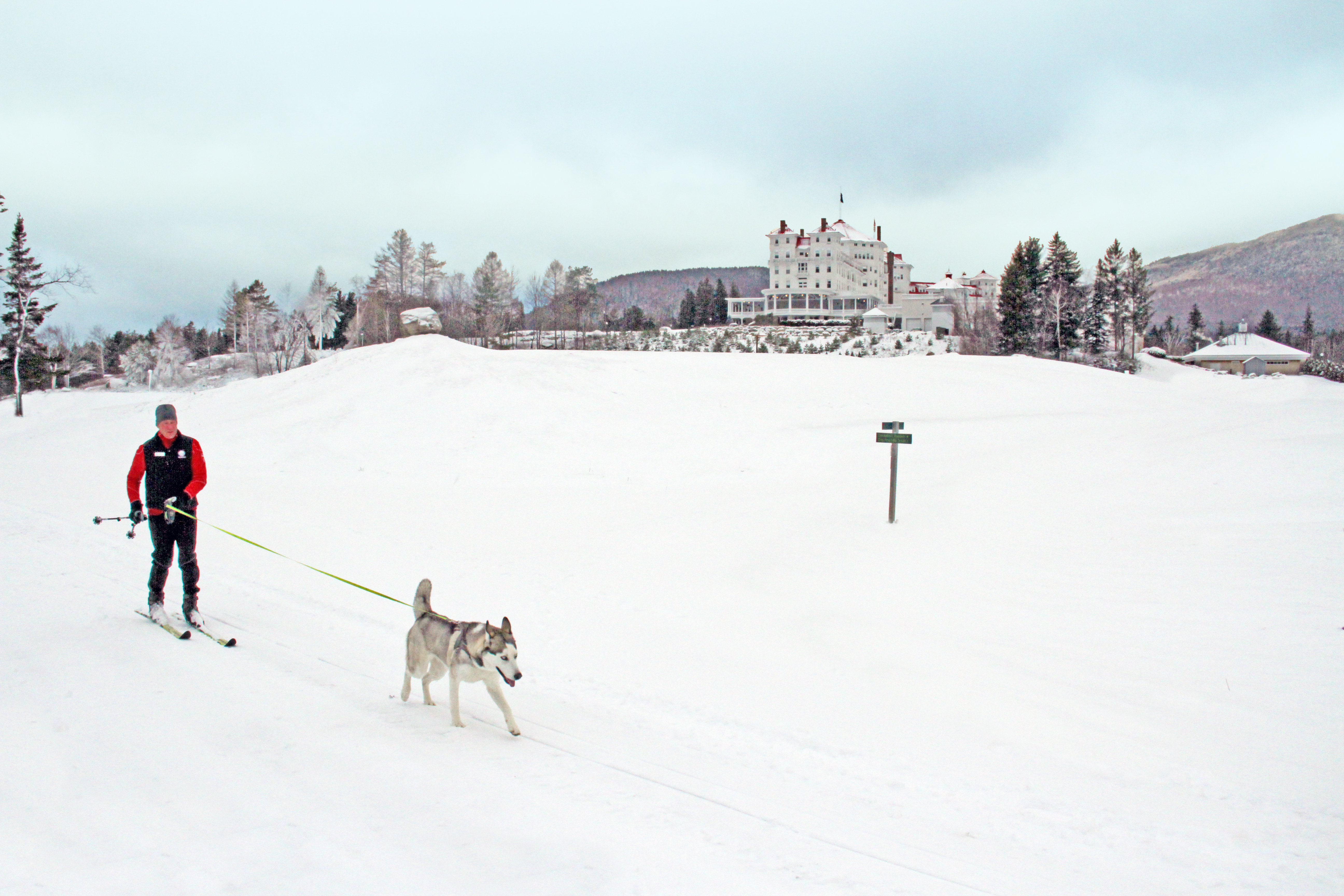 Skijoring at Omni Mount Washington Resort.