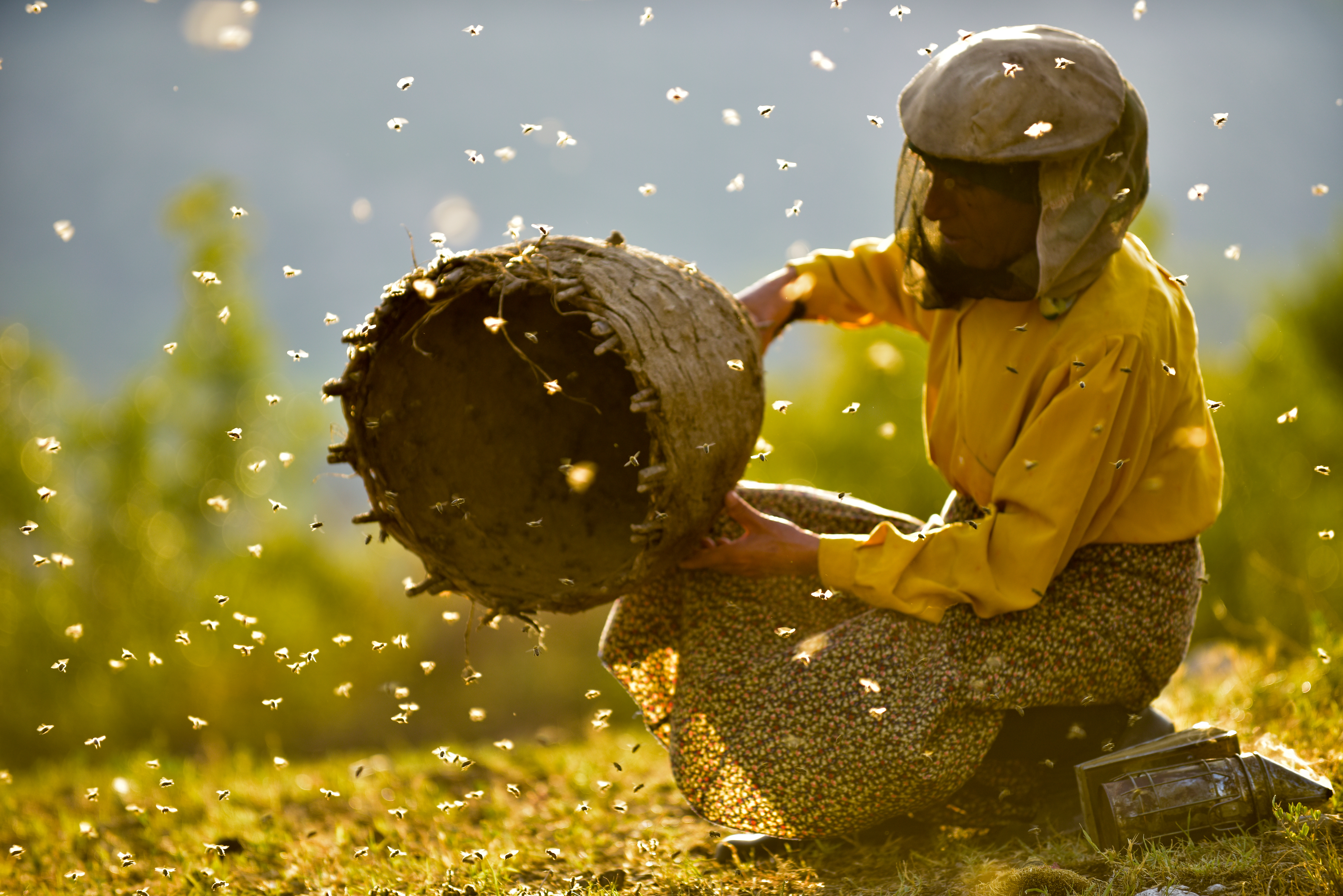 Hatidze Muratova in "Honeyland."