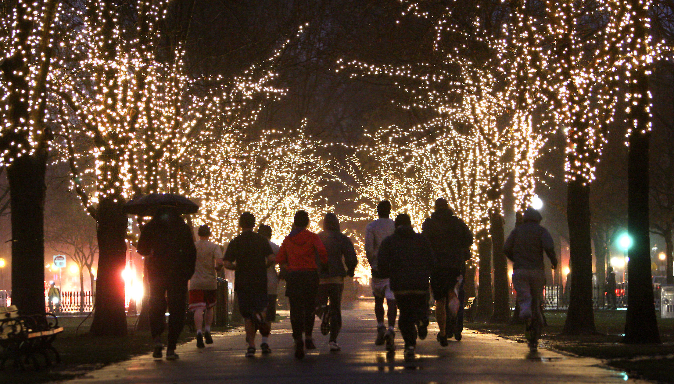 Holiday lights sparkle in the rain on the Commonwealth Avenue Mall.