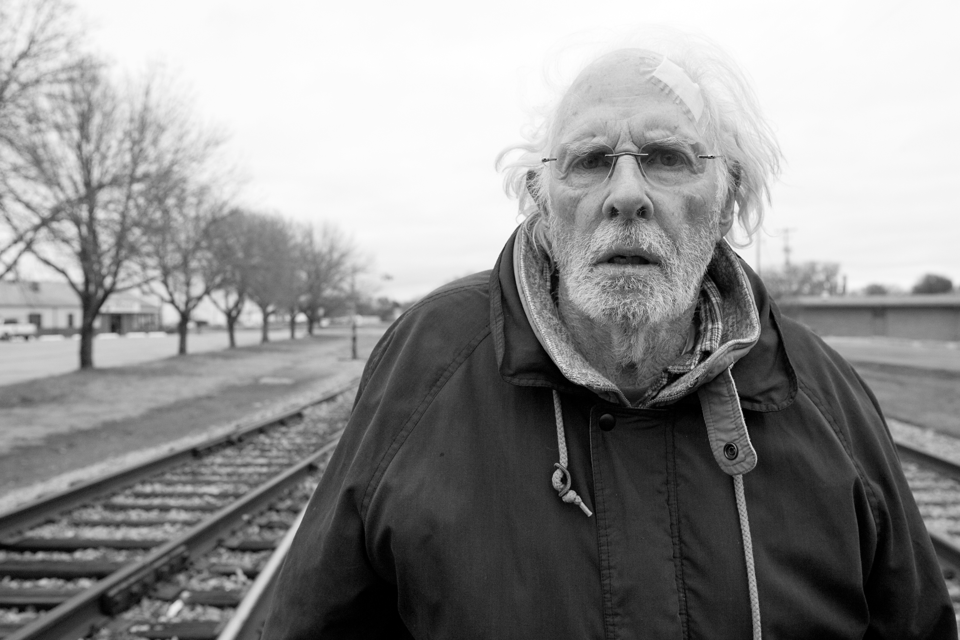 Bruce Dern in "Nebraska."